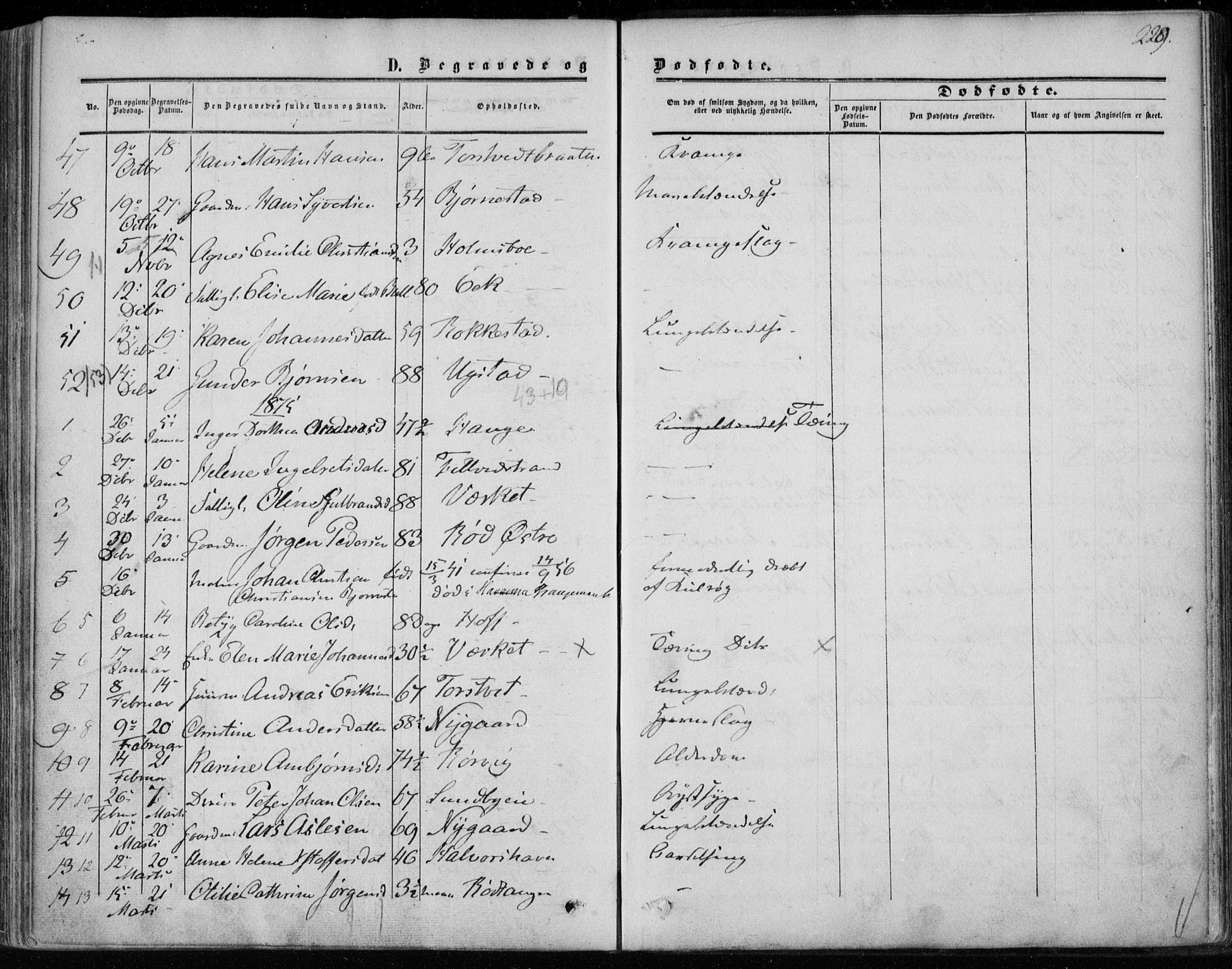 Hurum kirkebøker, SAKO/A-229/F/Fa/L0012: Parish register (official) no. 12, 1861-1875, p. 229
