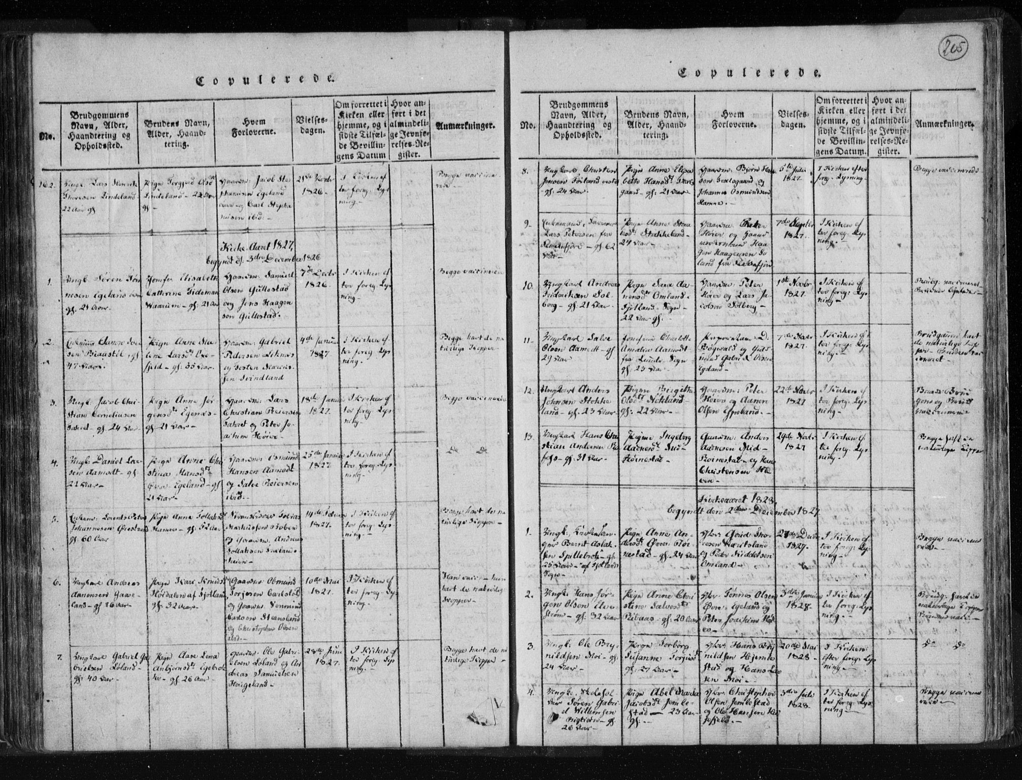 Kvinesdal sokneprestkontor, AV/SAK-1111-0026/F/Fa/Fab/L0003: Parish register (official) no. A 3, 1815-1829, p. 205