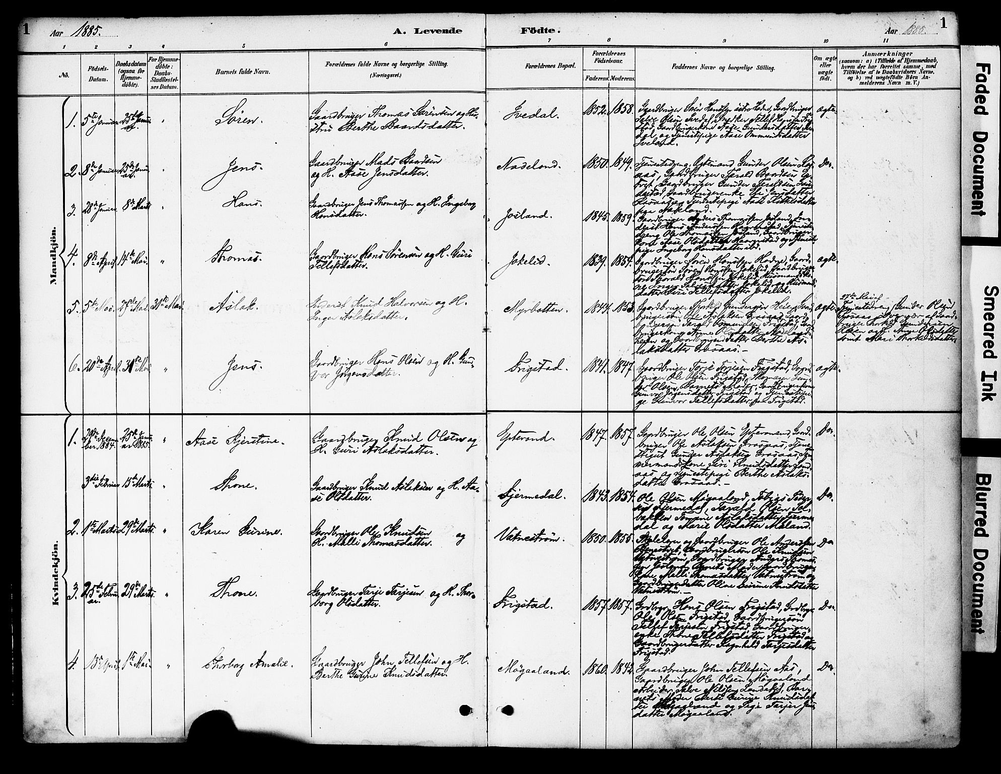 Evje sokneprestkontor, AV/SAK-1111-0008/F/Fa/Fac/L0003: Parish register (official) no. A 3, 1884-1909, p. 1