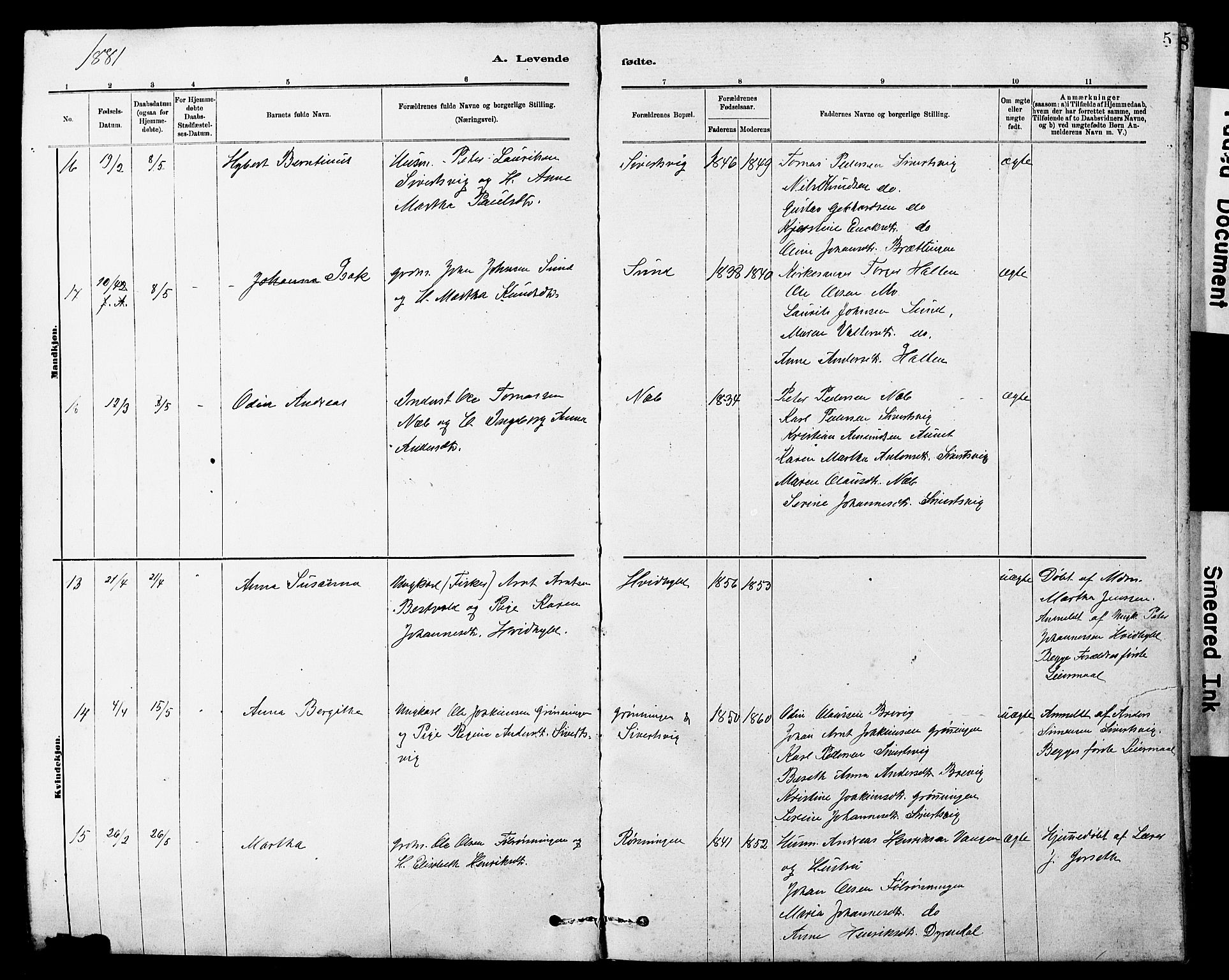 Ministerialprotokoller, klokkerbøker og fødselsregistre - Sør-Trøndelag, AV/SAT-A-1456/647/L0636: Parish register (copy) no. 647C01, 1881-1884, p. 5