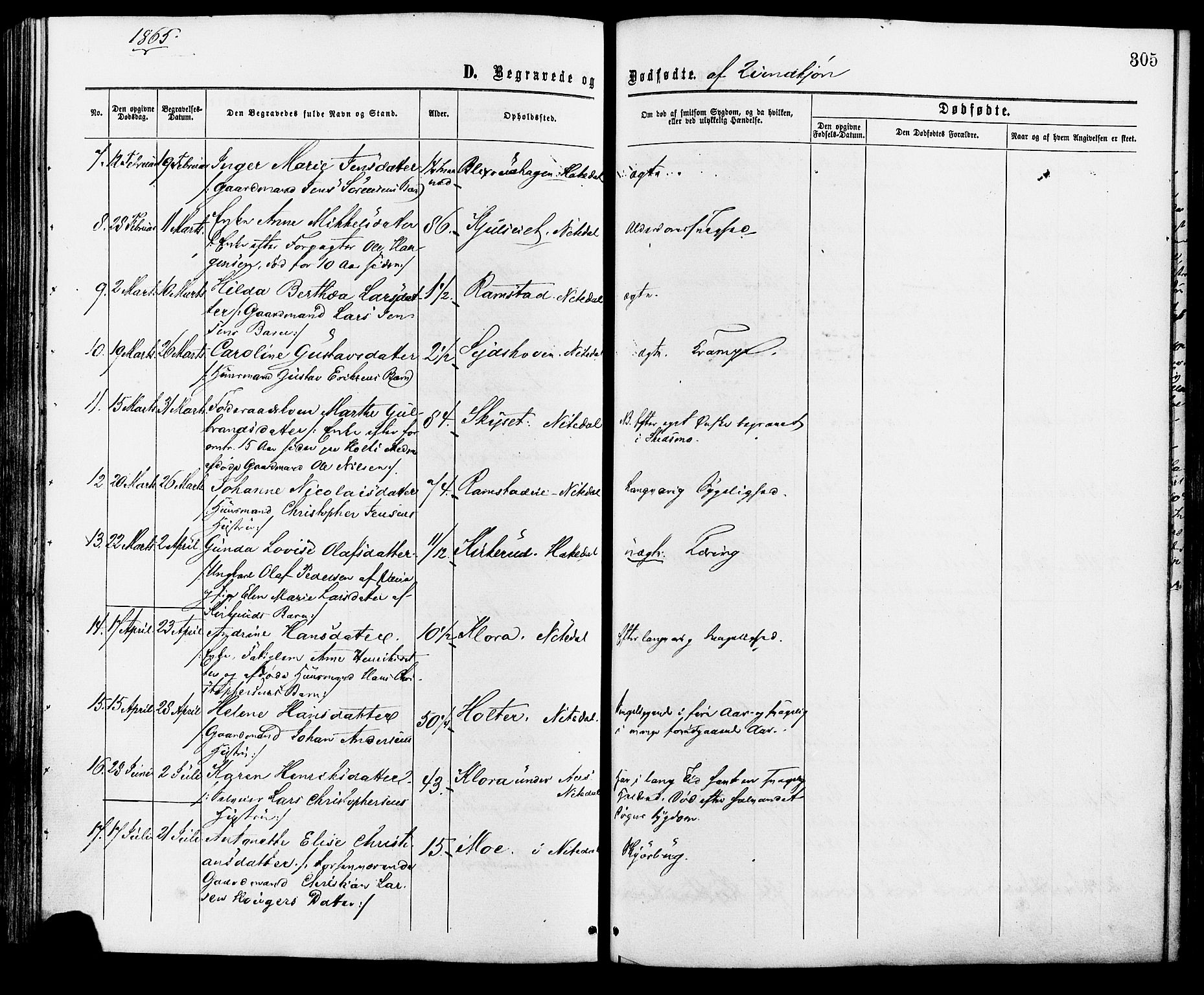 Nittedal prestekontor Kirkebøker, AV/SAO-A-10365a/F/Fa/L0006: Parish register (official) no. I 6, 1863-1878, p. 305