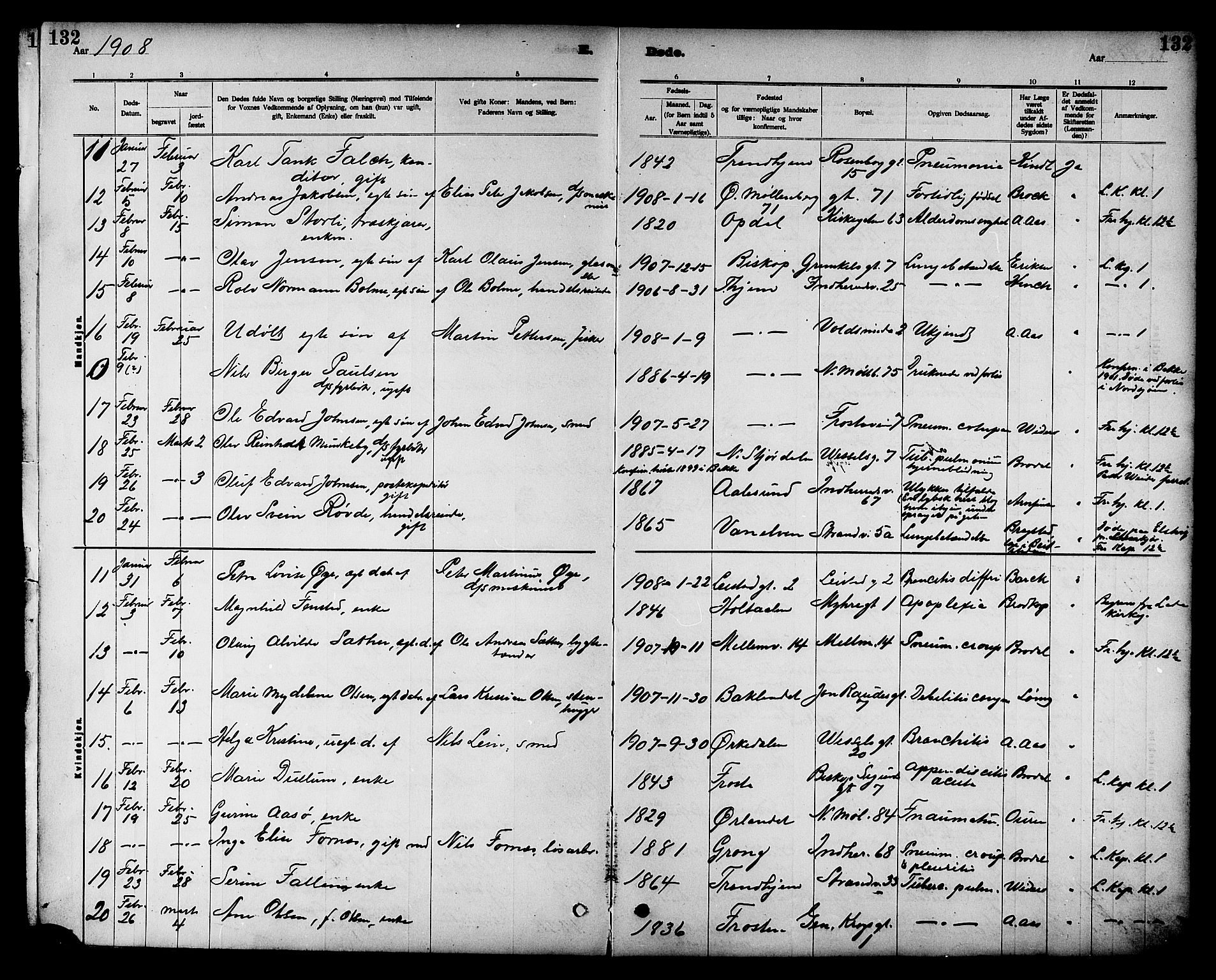 Ministerialprotokoller, klokkerbøker og fødselsregistre - Sør-Trøndelag, SAT/A-1456/605/L0255: Parish register (copy) no. 605C02, 1908-1918, p. 132