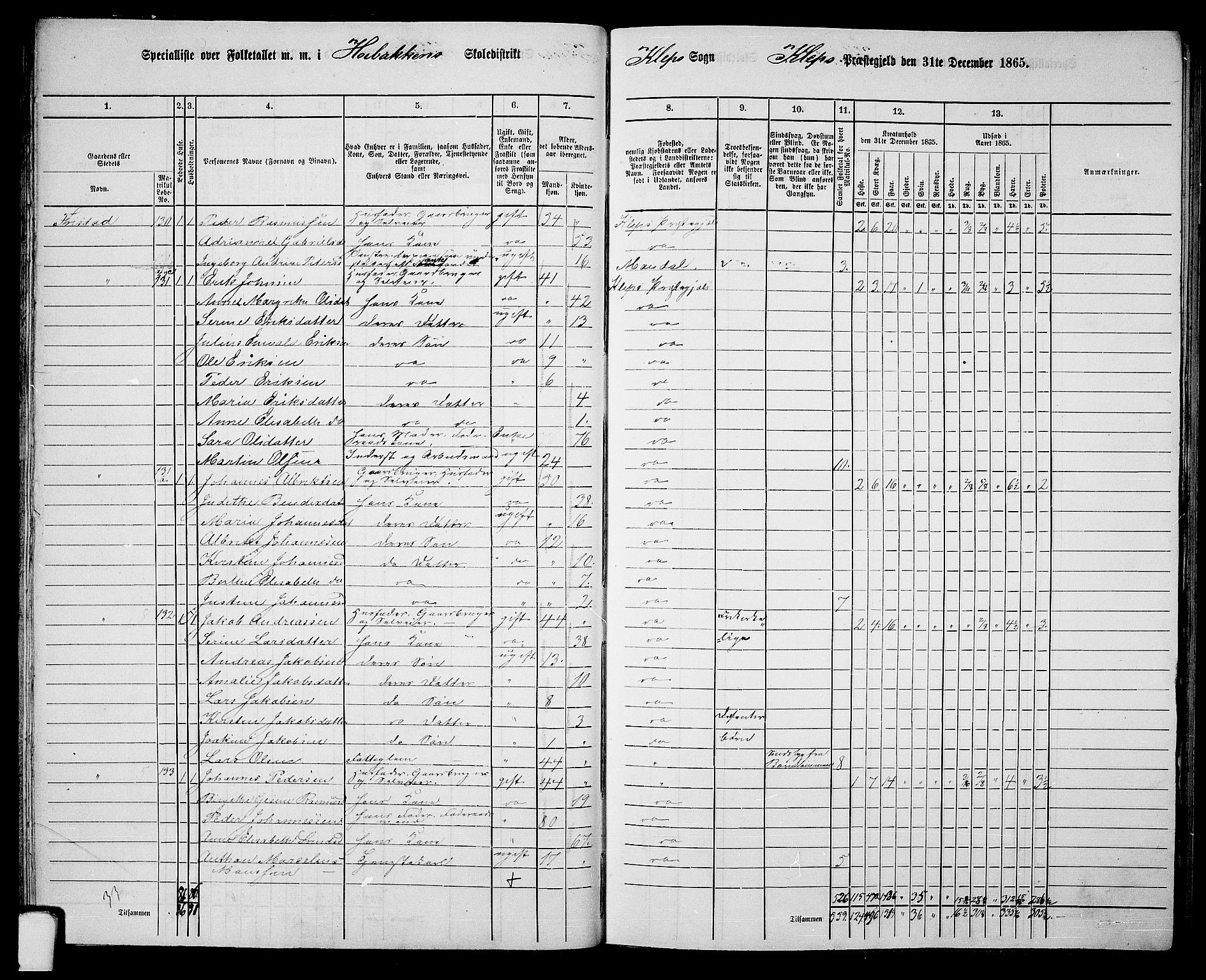 RA, 1865 census for Klepp, 1865, p. 28