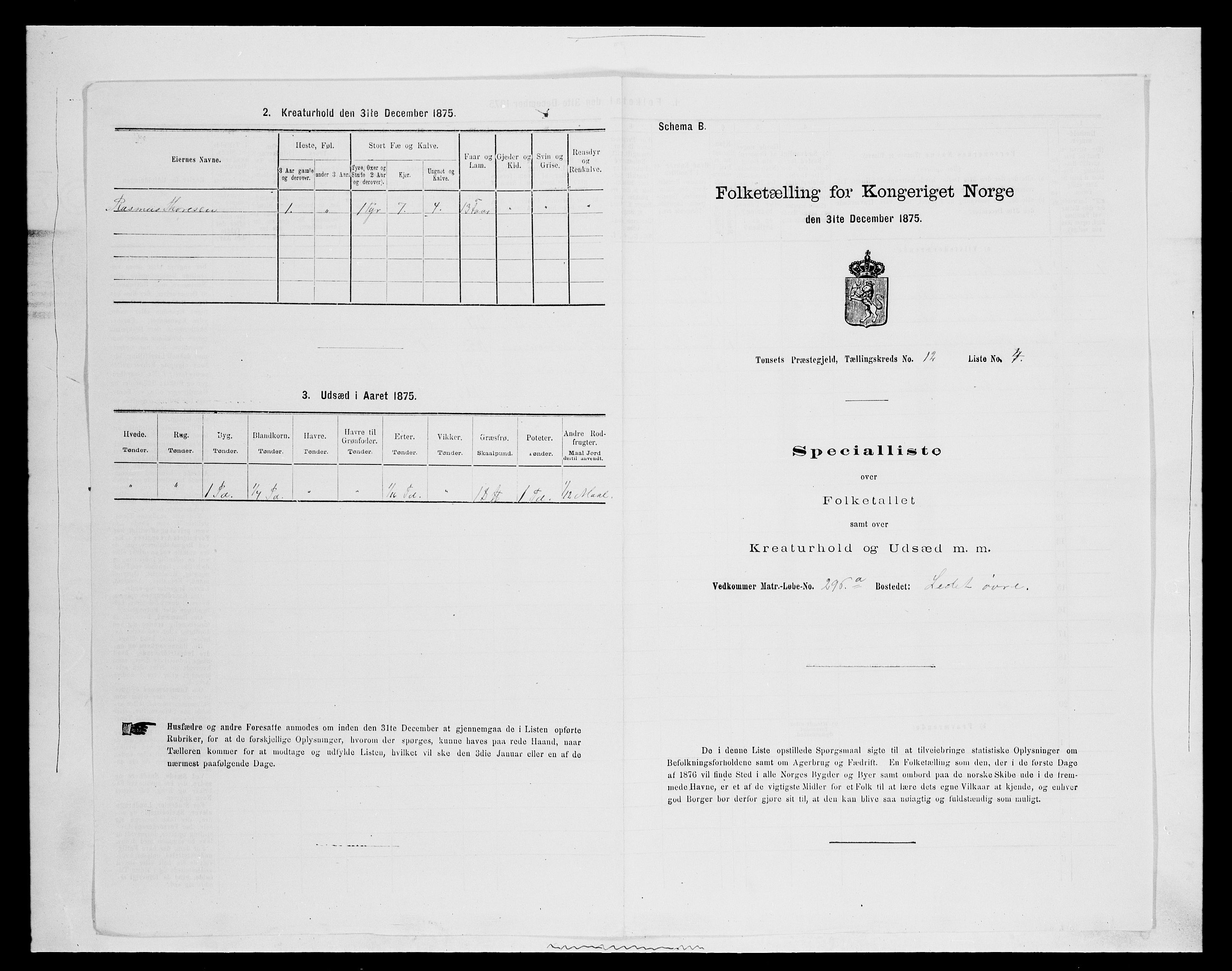 SAH, 1875 census for 0437P Tynset, 1875, p. 1058