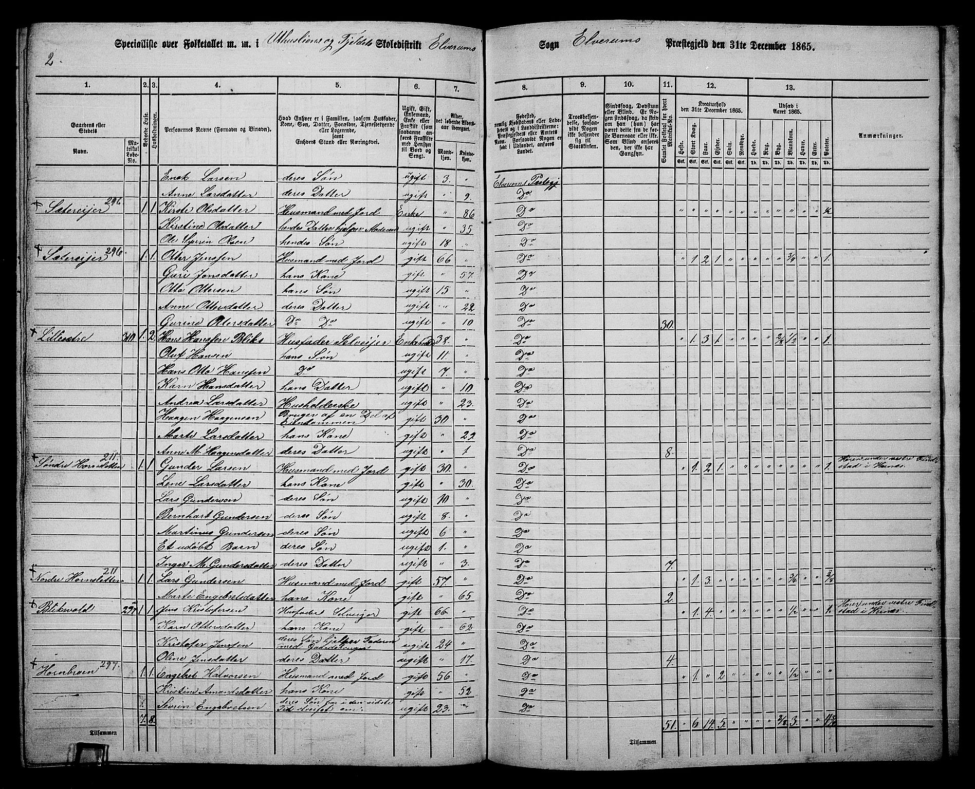 RA, 1865 census for Elverum, 1865, p. 250