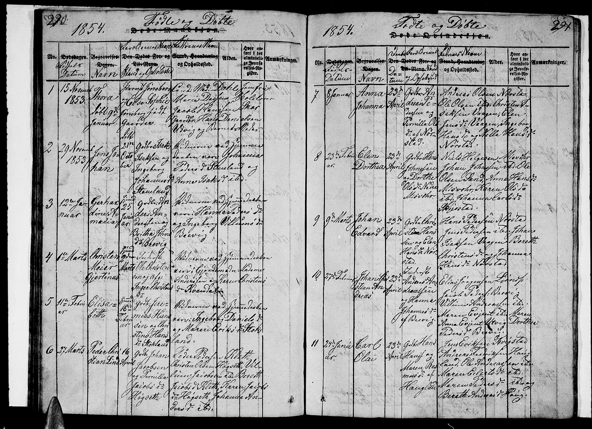 Ministerialprotokoller, klokkerbøker og fødselsregistre - Nordland, AV/SAT-A-1459/852/L0752: Parish register (copy) no. 852C03, 1840-1855, p. 290-291