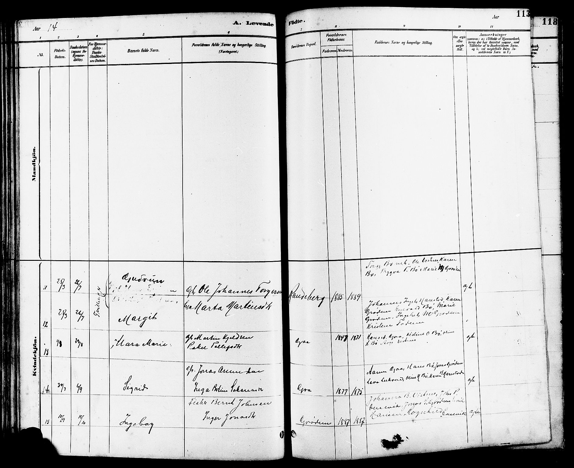 Hetland sokneprestkontor, SAST/A-101826/30/30BB/L0006: Parish register (copy) no. B 6, 1878-1921, p. 113
