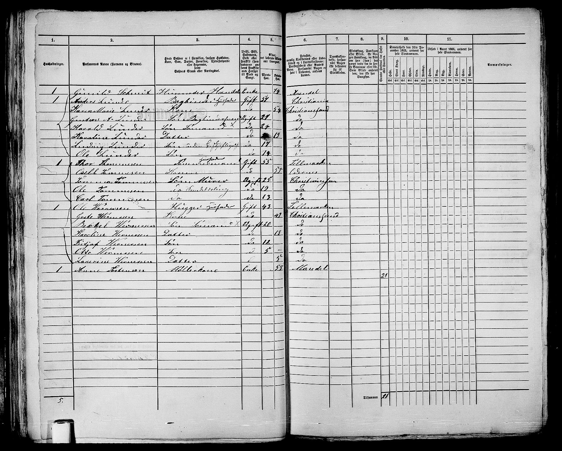 RA, 1865 census for Kristiansand, 1865, p. 55