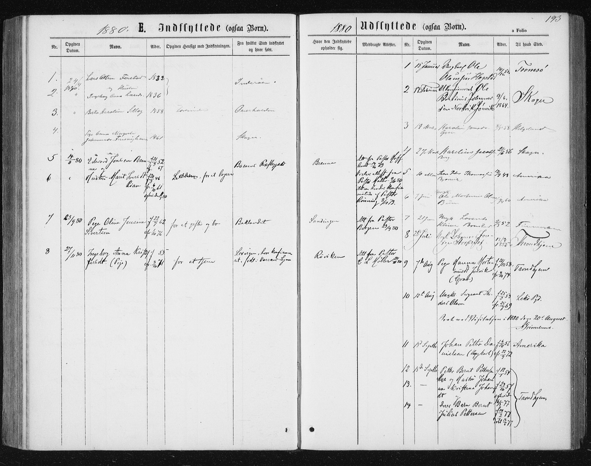 Ministerialprotokoller, klokkerbøker og fødselsregistre - Nord-Trøndelag, SAT/A-1458/722/L0219: Parish register (official) no. 722A06, 1868-1880, p. 193