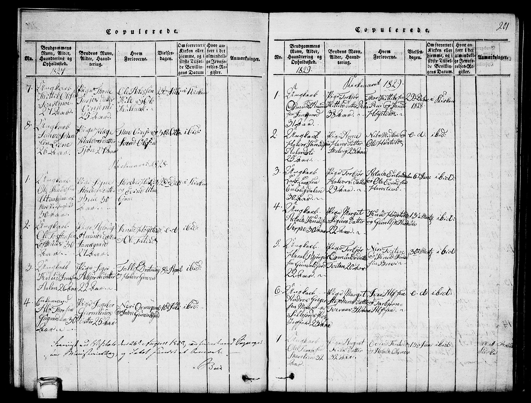 Vinje kirkebøker, SAKO/A-312/G/Ga/L0001: Parish register (copy) no. I 1, 1814-1843, p. 201