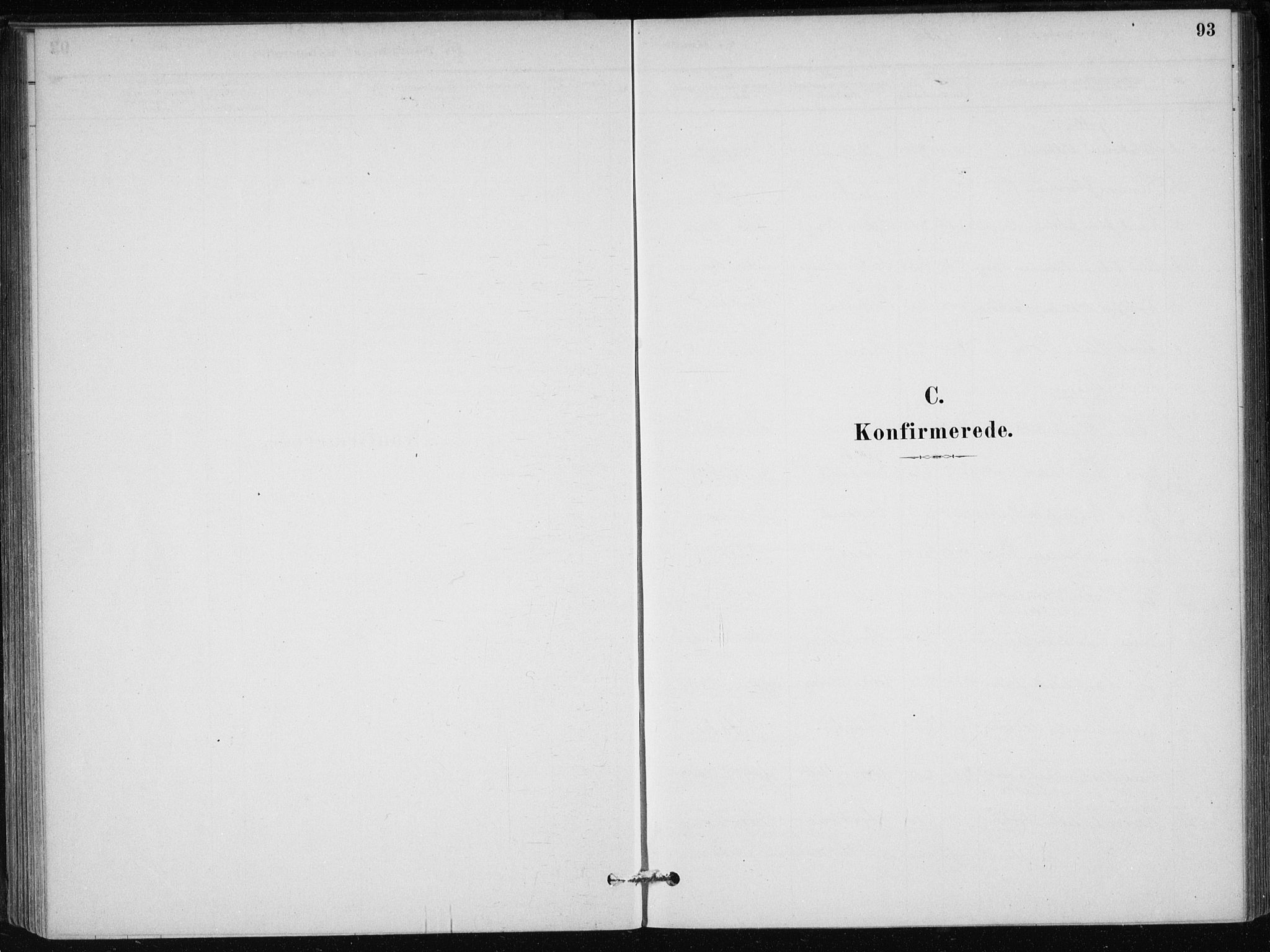 Skånevik sokneprestembete, SAB/A-77801/H/Haa: Parish register (official) no. C  1, 1879-1917, p. 93