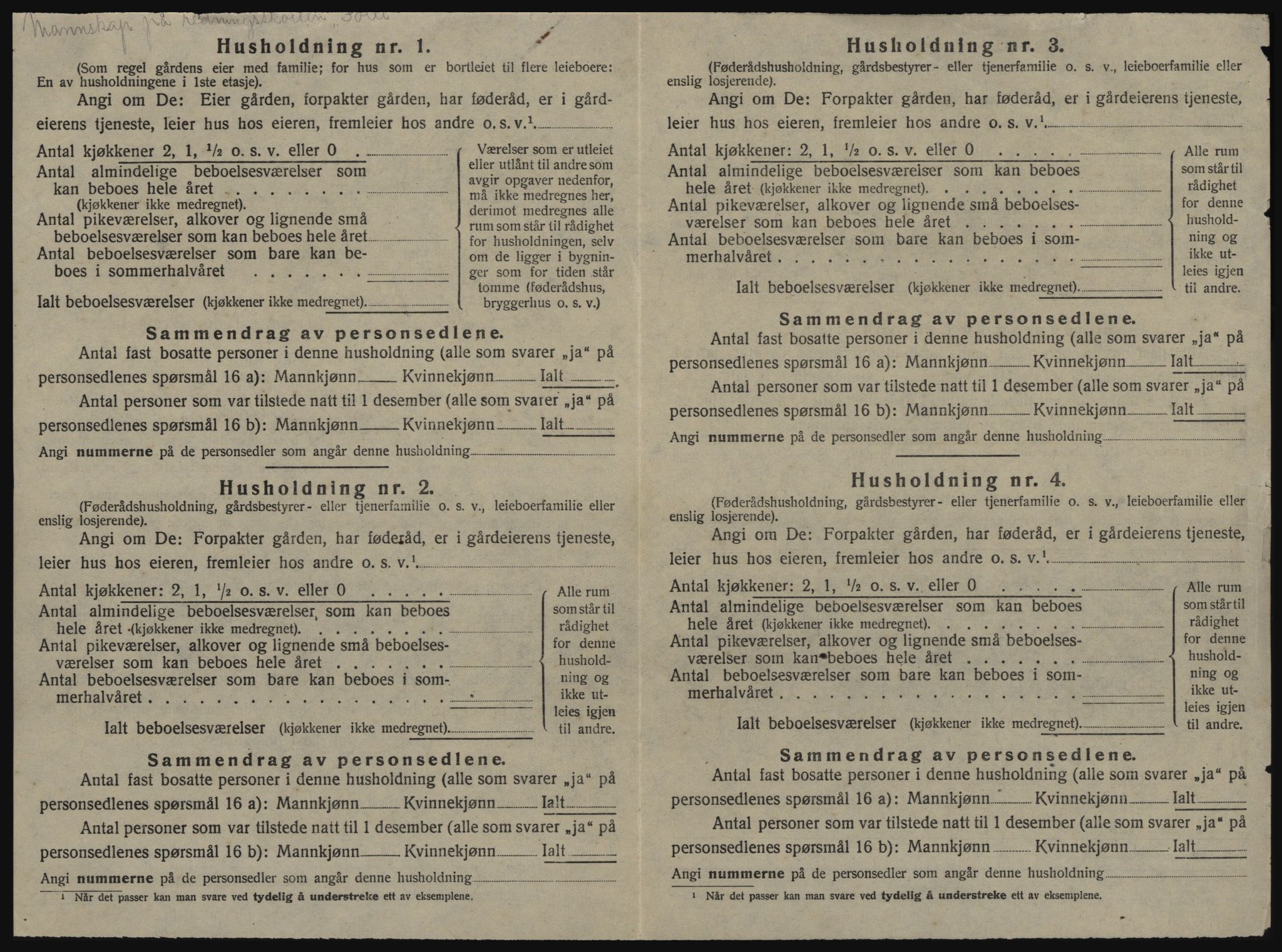 SAT, 1920 census for Nes (ST), 1920, p. 452