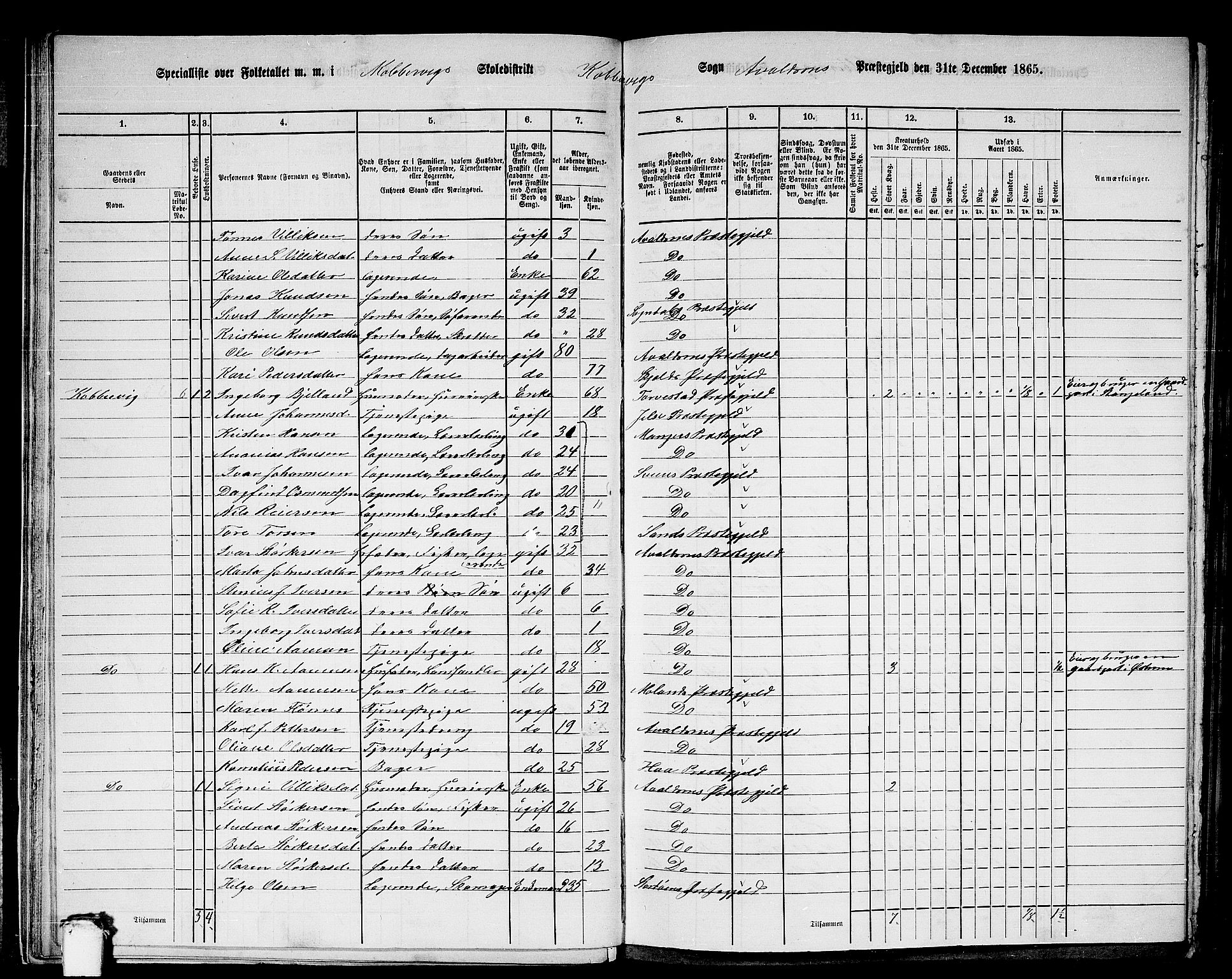 RA, 1865 census for Avaldsnes, 1865, p. 31