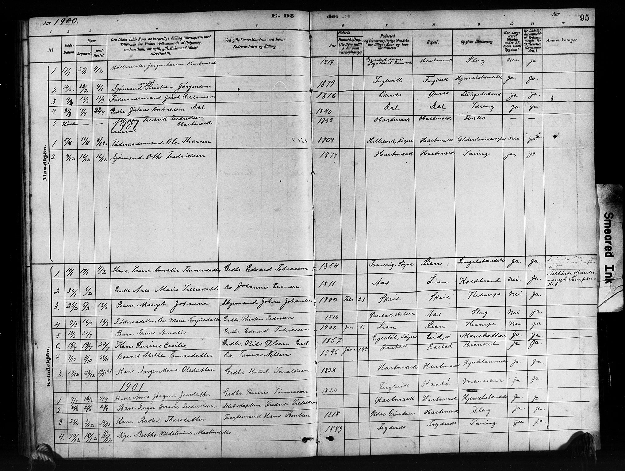 Mandal sokneprestkontor, SAK/1111-0030/F/Fb/Fbb/L0004: Parish register (copy) no. B 4, 1878-1913, p. 95
