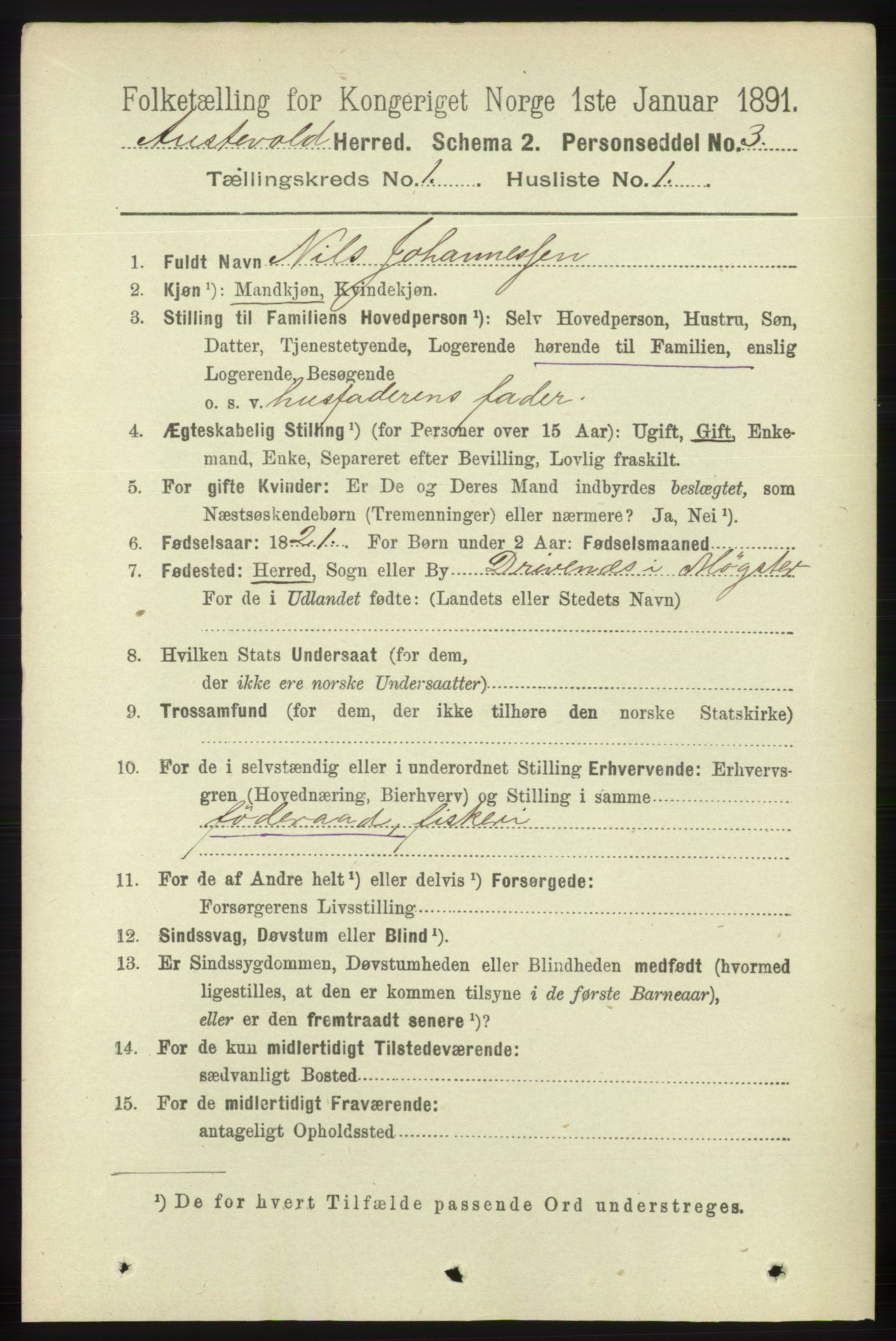 RA, 1891 census for 1244 Austevoll, 1891, p. 100