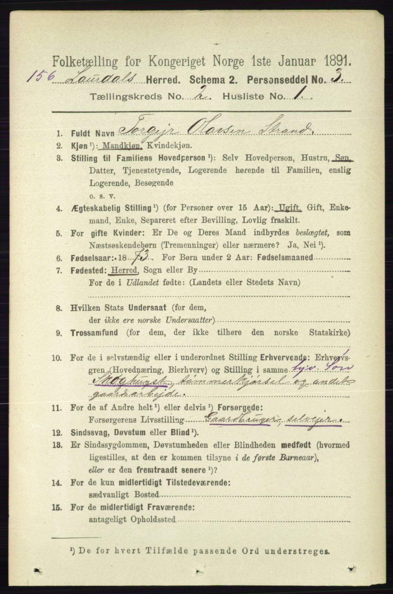 RA, 1891 census for 0833 Lårdal, 1891, p. 603