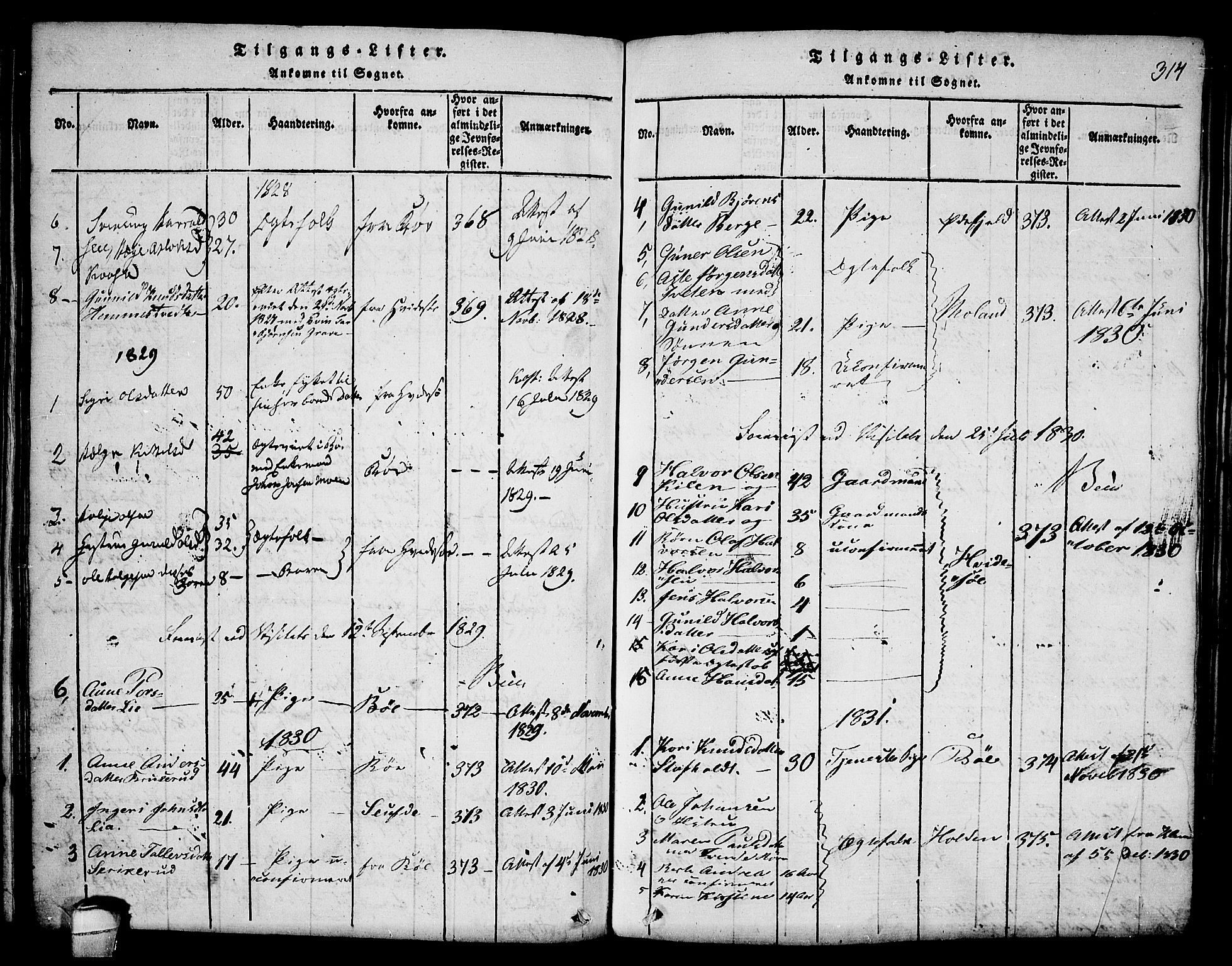 Seljord kirkebøker, SAKO/A-20/F/Fa/L0010: Parish register (official) no. I 10, 1815-1831, p. 314