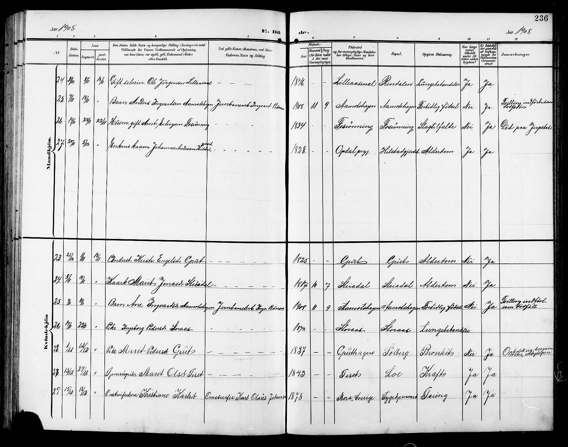Ministerialprotokoller, klokkerbøker og fødselsregistre - Sør-Trøndelag, SAT/A-1456/672/L0864: Parish register (copy) no. 672C03, 1902-1914, p. 236