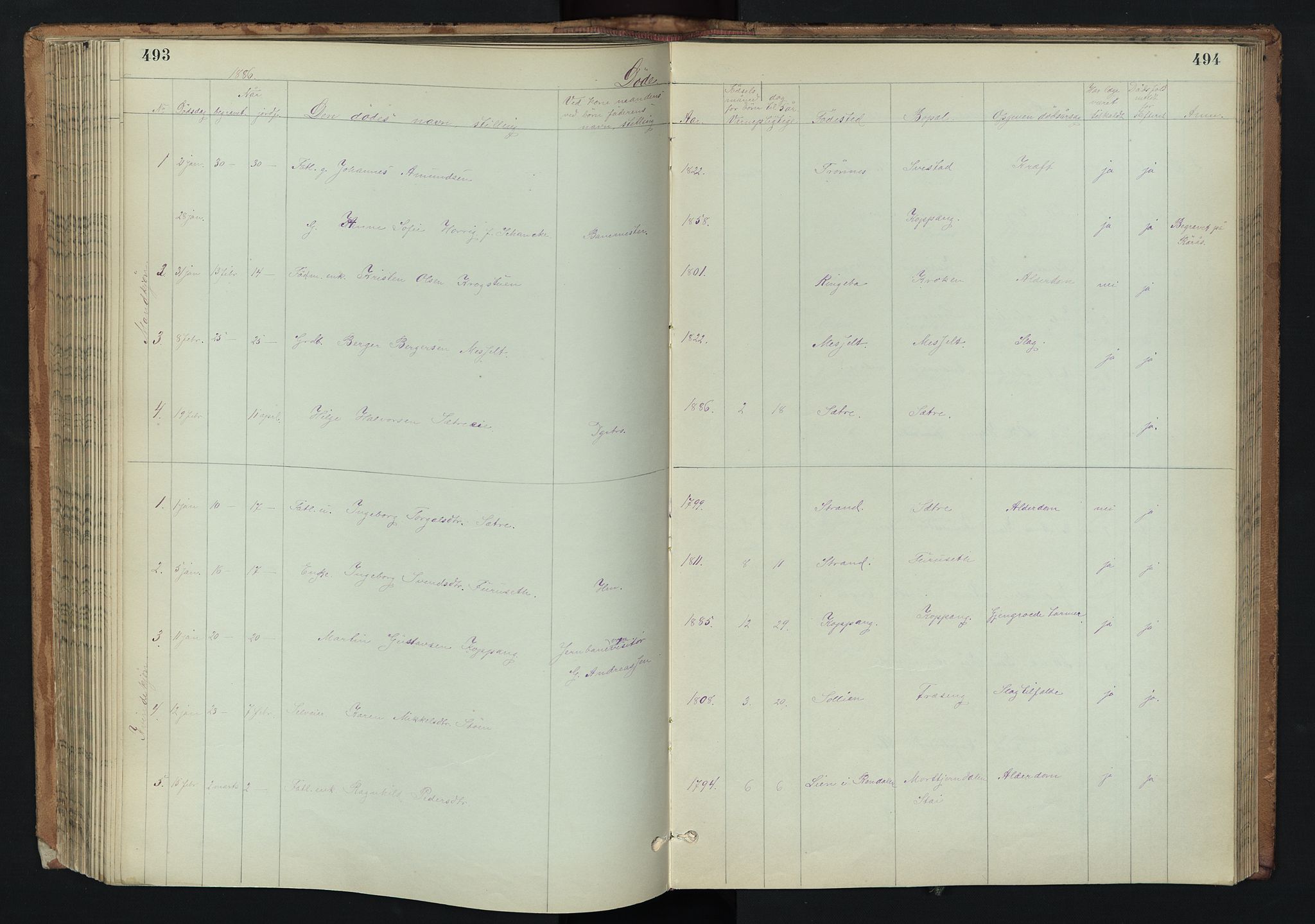 Stor-Elvdal prestekontor, SAH/PREST-052/H/Ha/Hab/L0002: Parish register (copy) no. 2, 1860-1894, p. 493-494