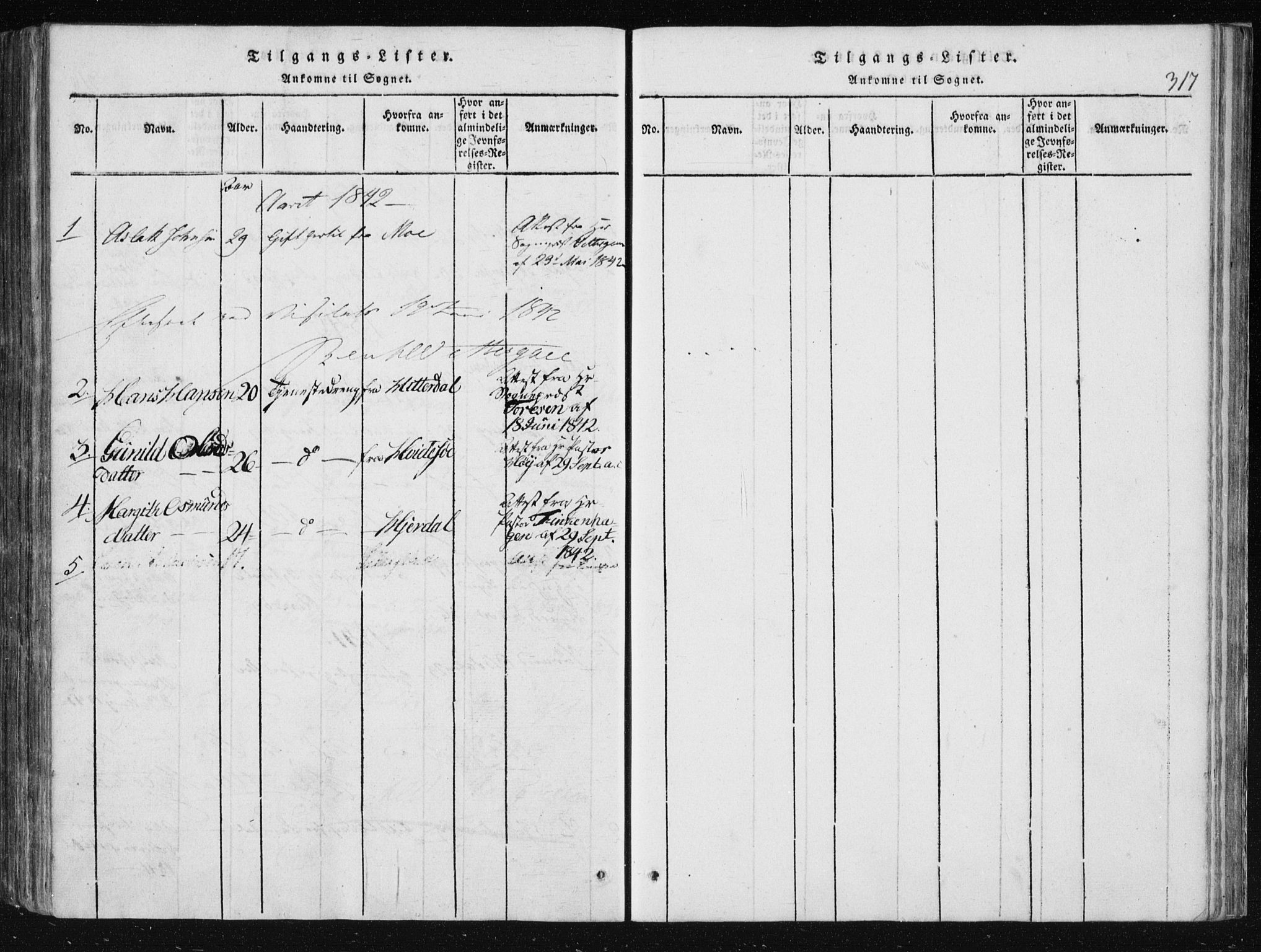 Vinje kirkebøker, SAKO/A-312/F/Fa/L0003: Parish register (official) no. I 3, 1814-1843, p. 317