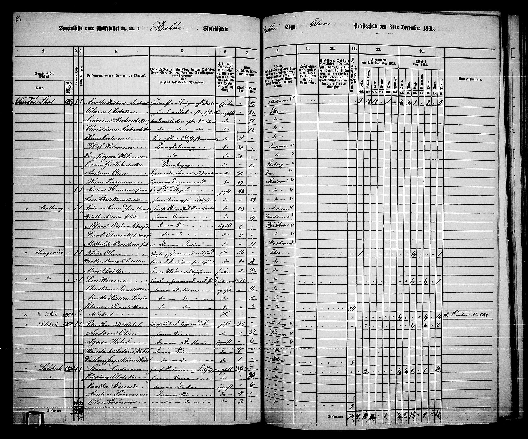 RA, 1865 census for Eiker, 1865, p. 443