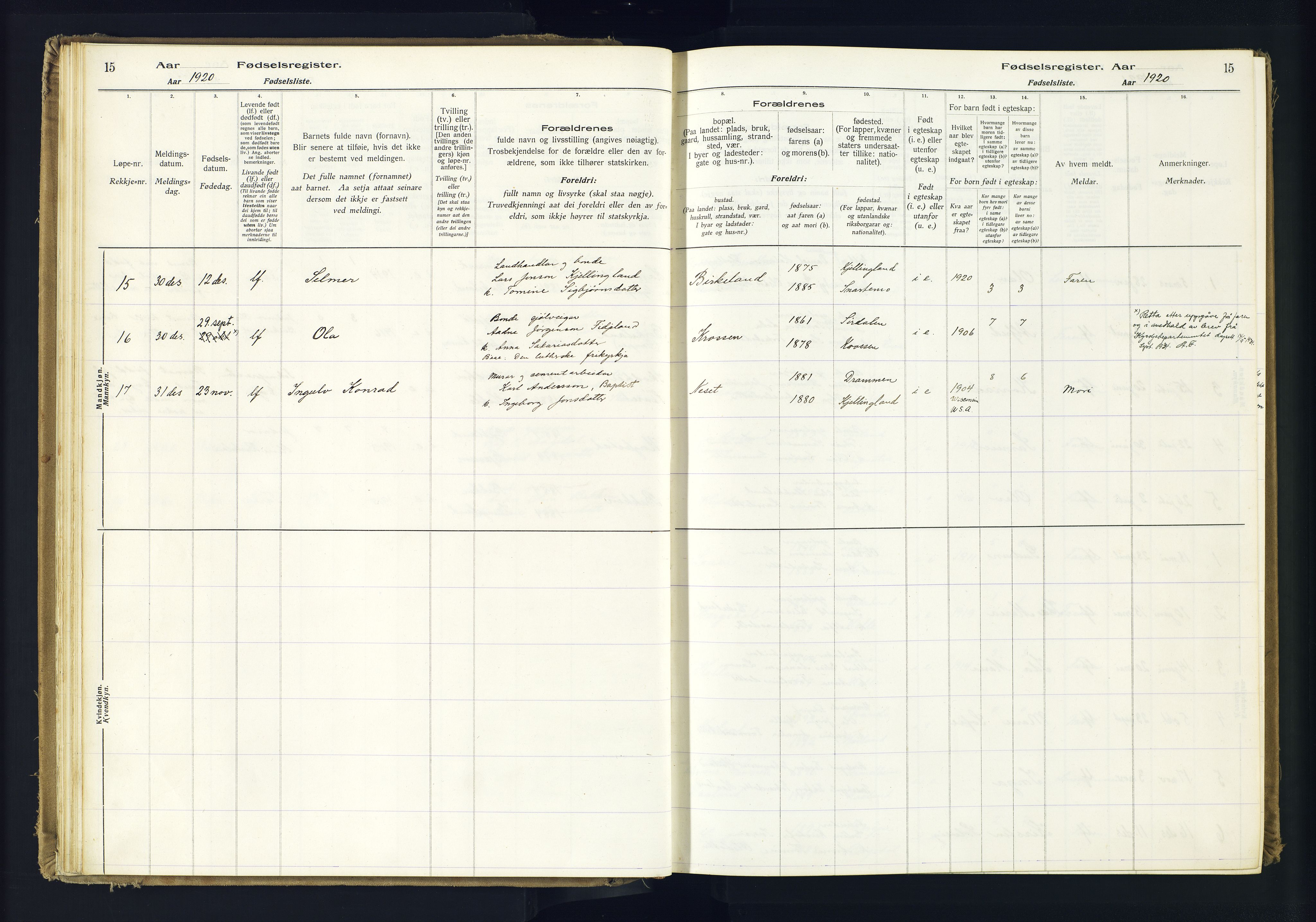 Hægebostad sokneprestkontor, AV/SAK-1111-0024/J/Ja/L0001: Birth register no. II.6.7, 1916-1982, p. 15