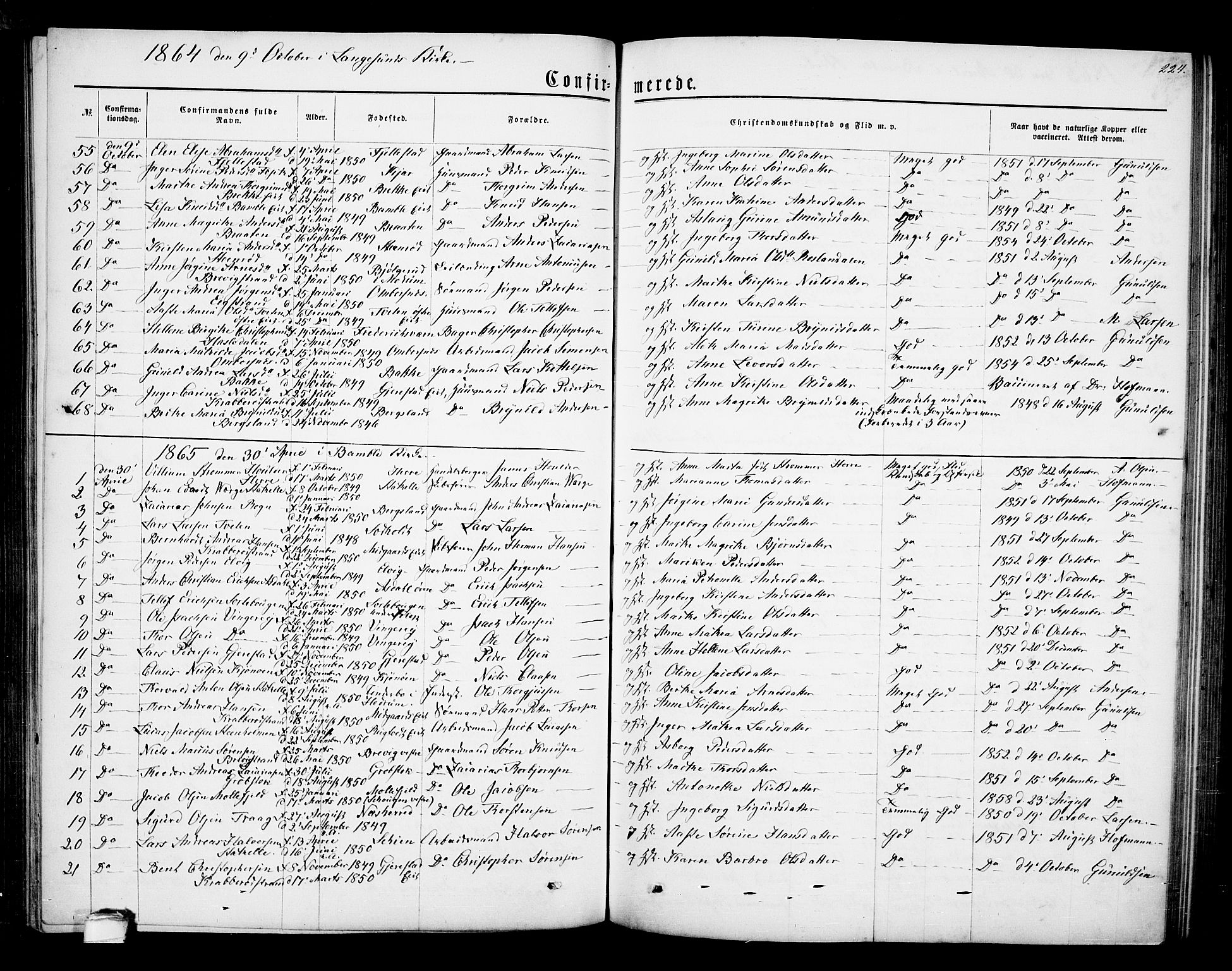 Bamble kirkebøker, AV/SAKO-A-253/G/Ga/L0006: Parish register (copy) no. I 6, 1860-1876, p. 224