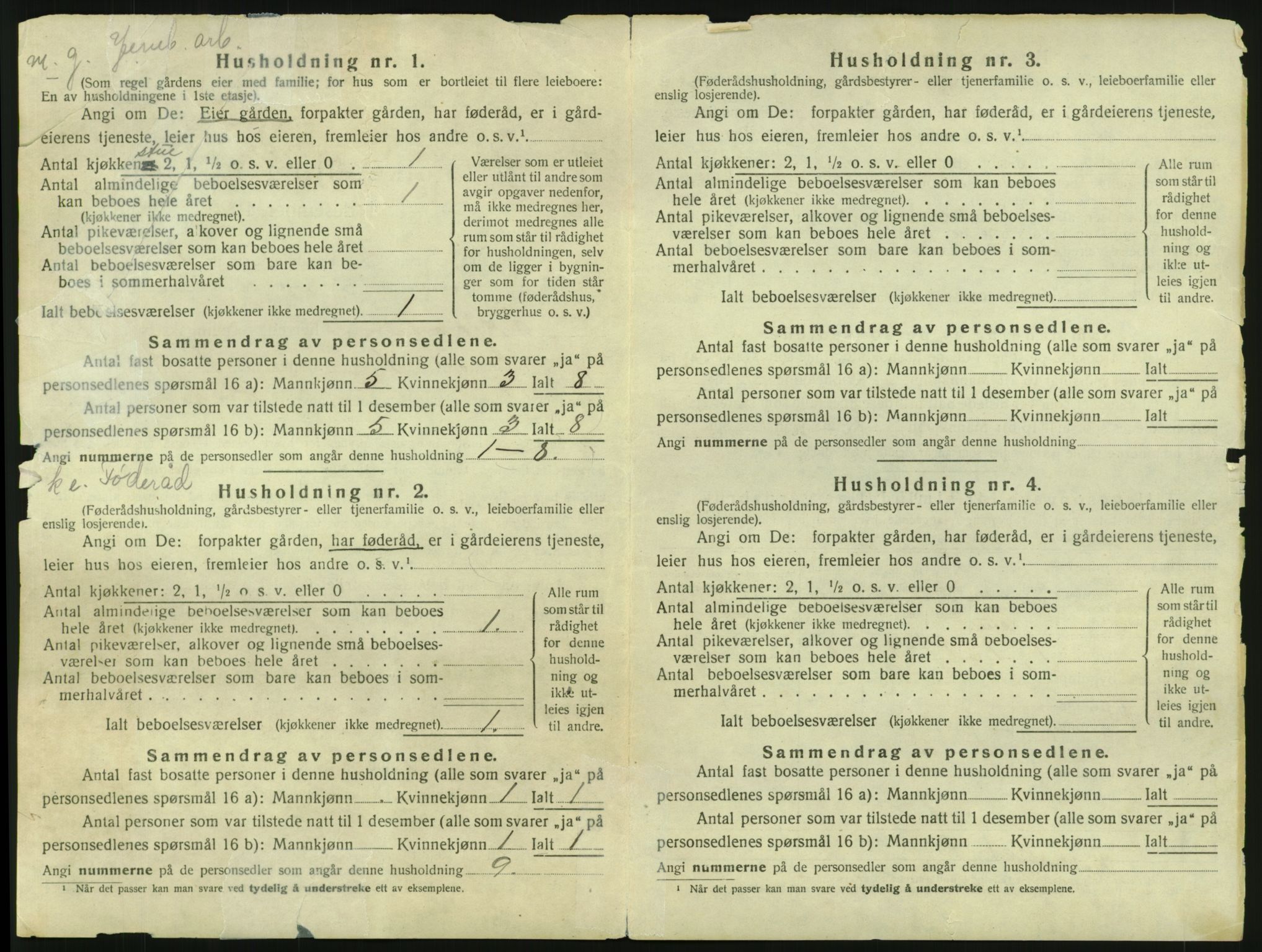 SAH, 1920 census for Skjåk, 1920, p. 47