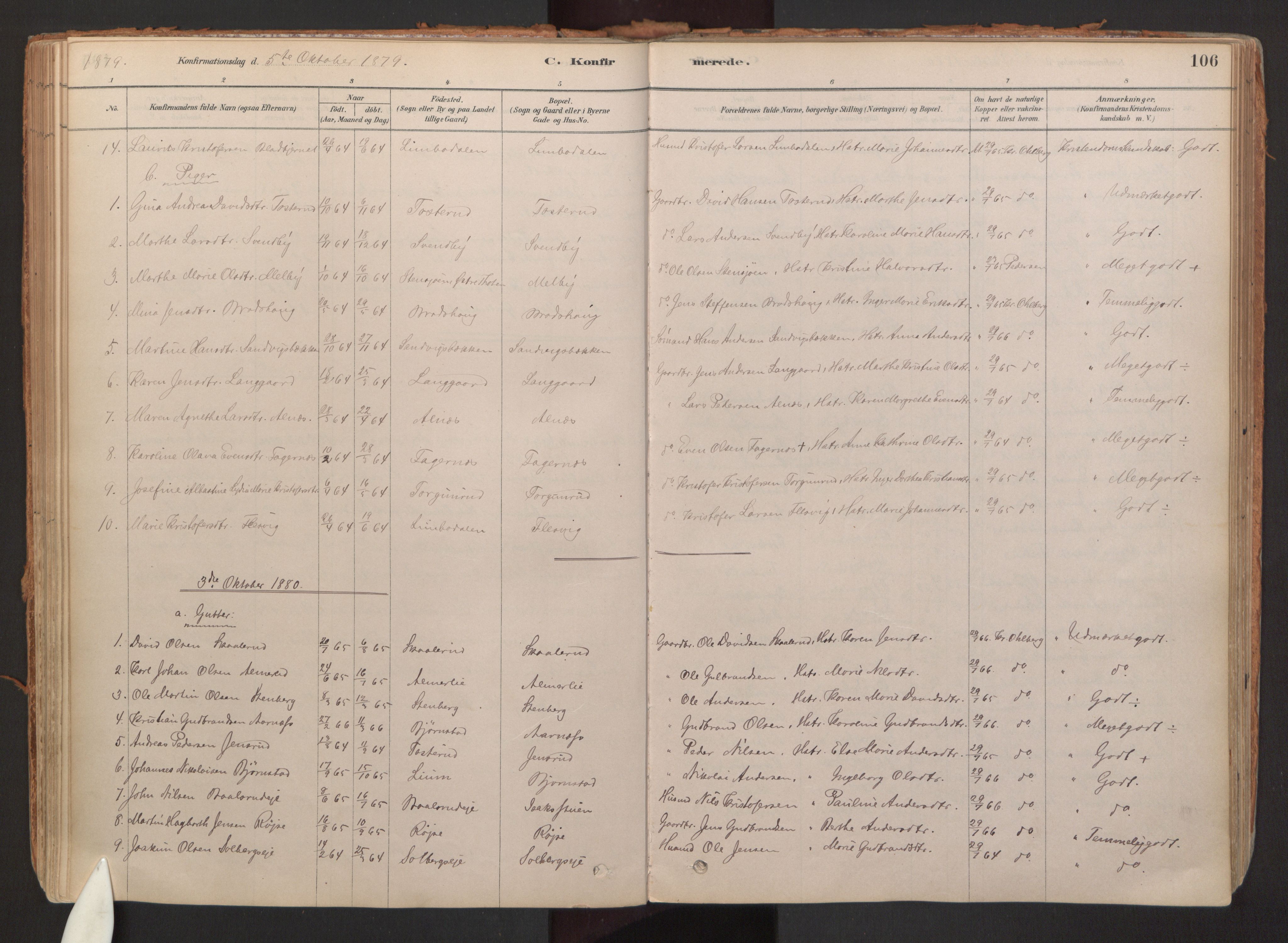 Hurdal prestekontor Kirkebøker, SAO/A-10889/F/Fb/L0003: Parish register (official) no. II 3, 1878-1920, p. 106