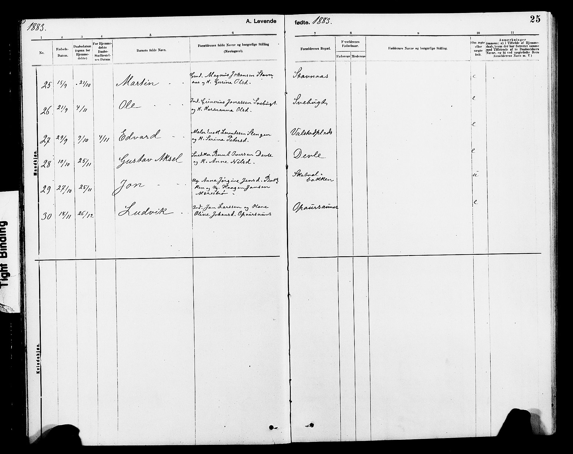 Ministerialprotokoller, klokkerbøker og fødselsregistre - Nord-Trøndelag, AV/SAT-A-1458/712/L0103: Parish register (copy) no. 712C01, 1878-1917, p. 25