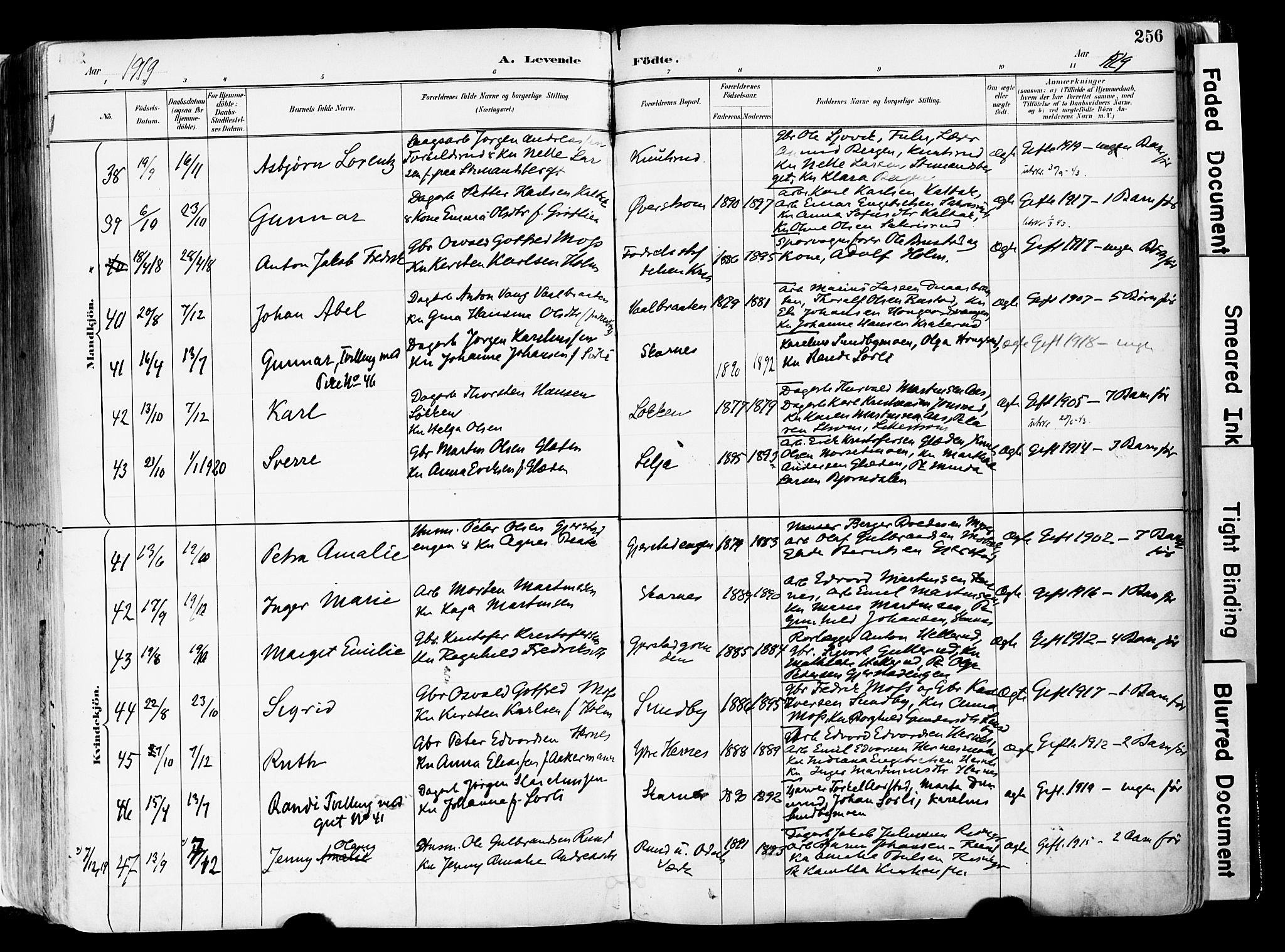 Sør-Odal prestekontor, SAH/PREST-030/H/Ha/Haa/L0006: Parish register (official) no. 6, 1886-1931, p. 256