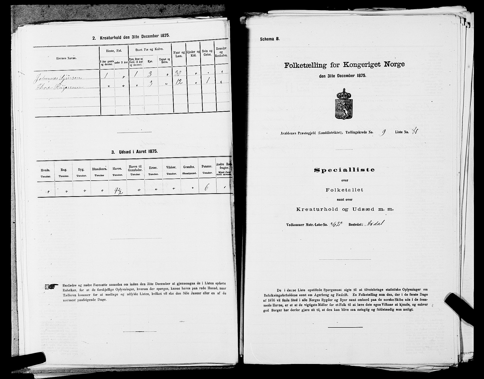 SAST, 1875 census for 1147L Avaldsnes/Avaldsnes og Kopervik, 1875, p. 1581