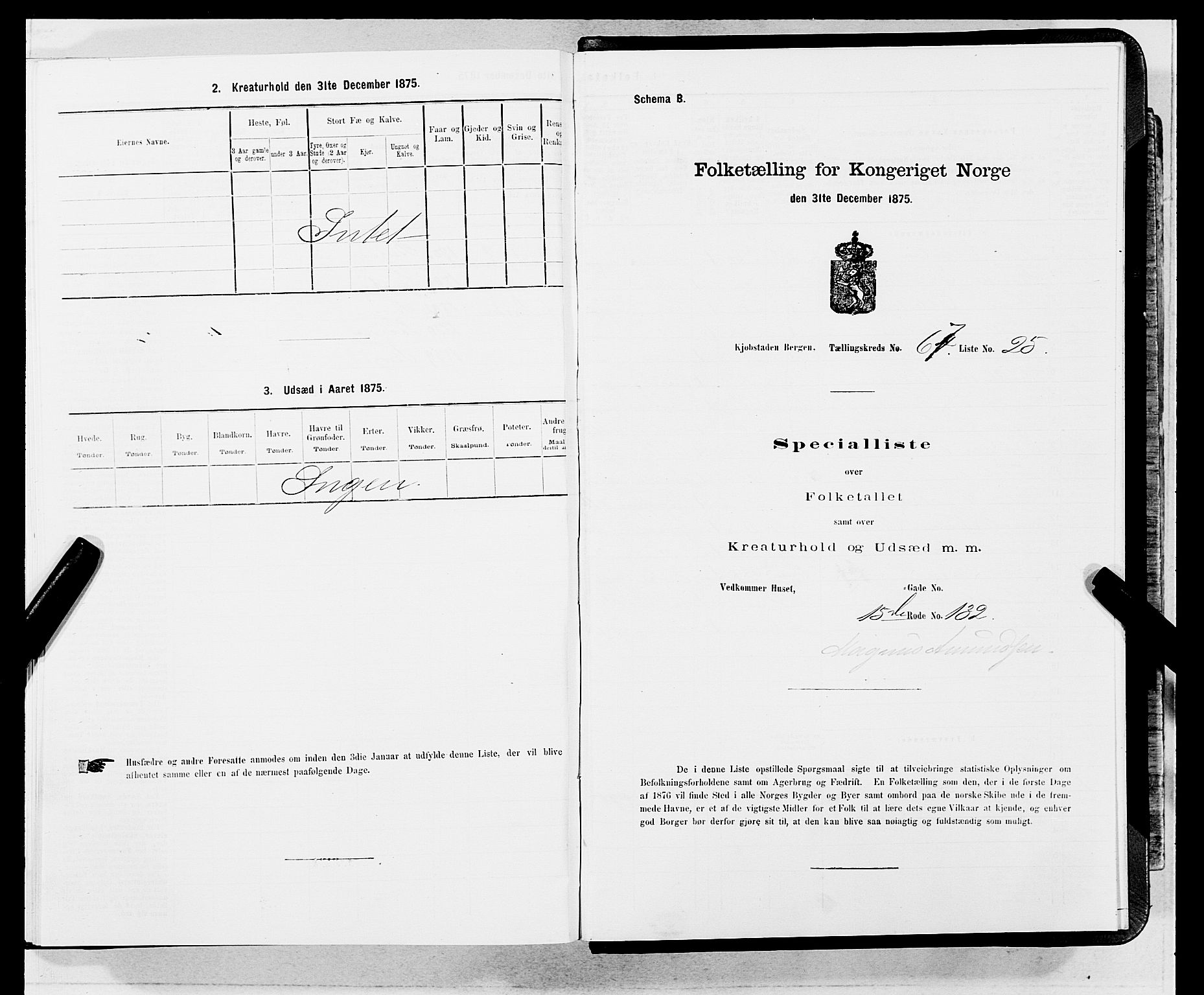 SAB, 1875 census for 1301 Bergen, 1875, p. 3596