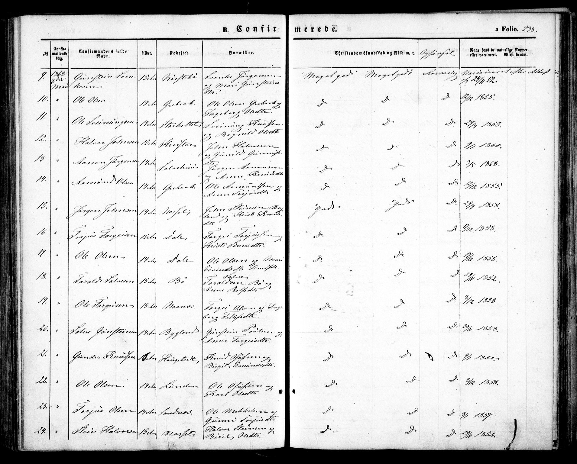 Bygland sokneprestkontor, AV/SAK-1111-0006/F/Fa/Fab/L0005: Parish register (official) no. A 5, 1859-1873, p. 238