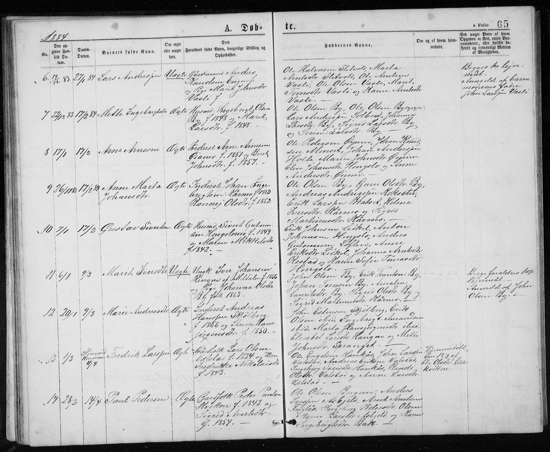 Ministerialprotokoller, klokkerbøker og fødselsregistre - Sør-Trøndelag, SAT/A-1456/671/L0843: Parish register (copy) no. 671C02, 1873-1892, p. 65