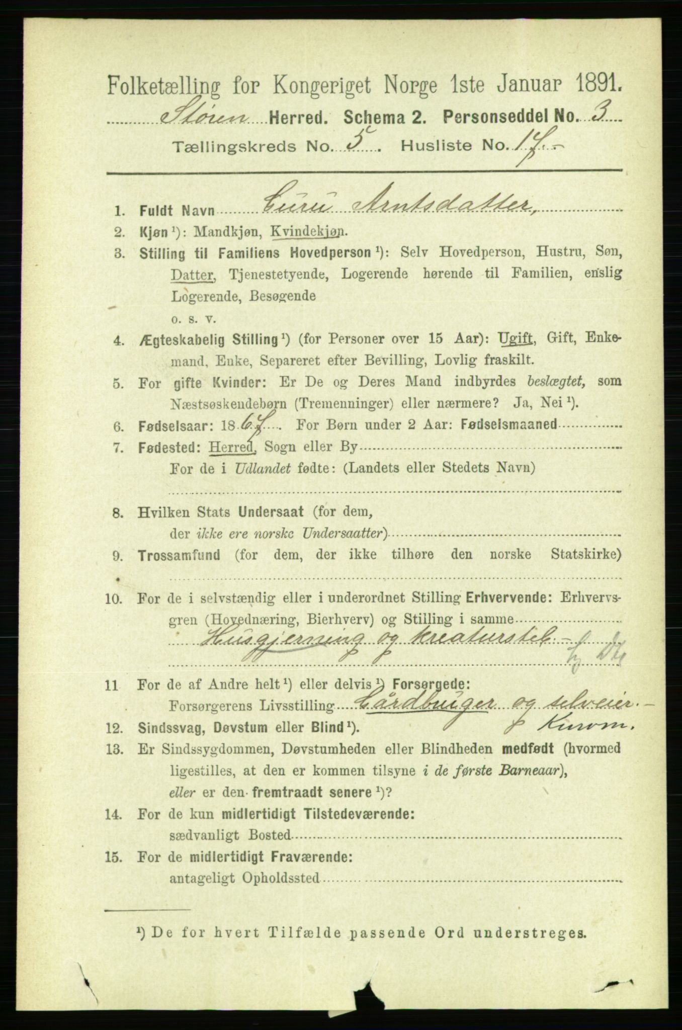 RA, 1891 census for 1648 Støren, 1891, p. 2035