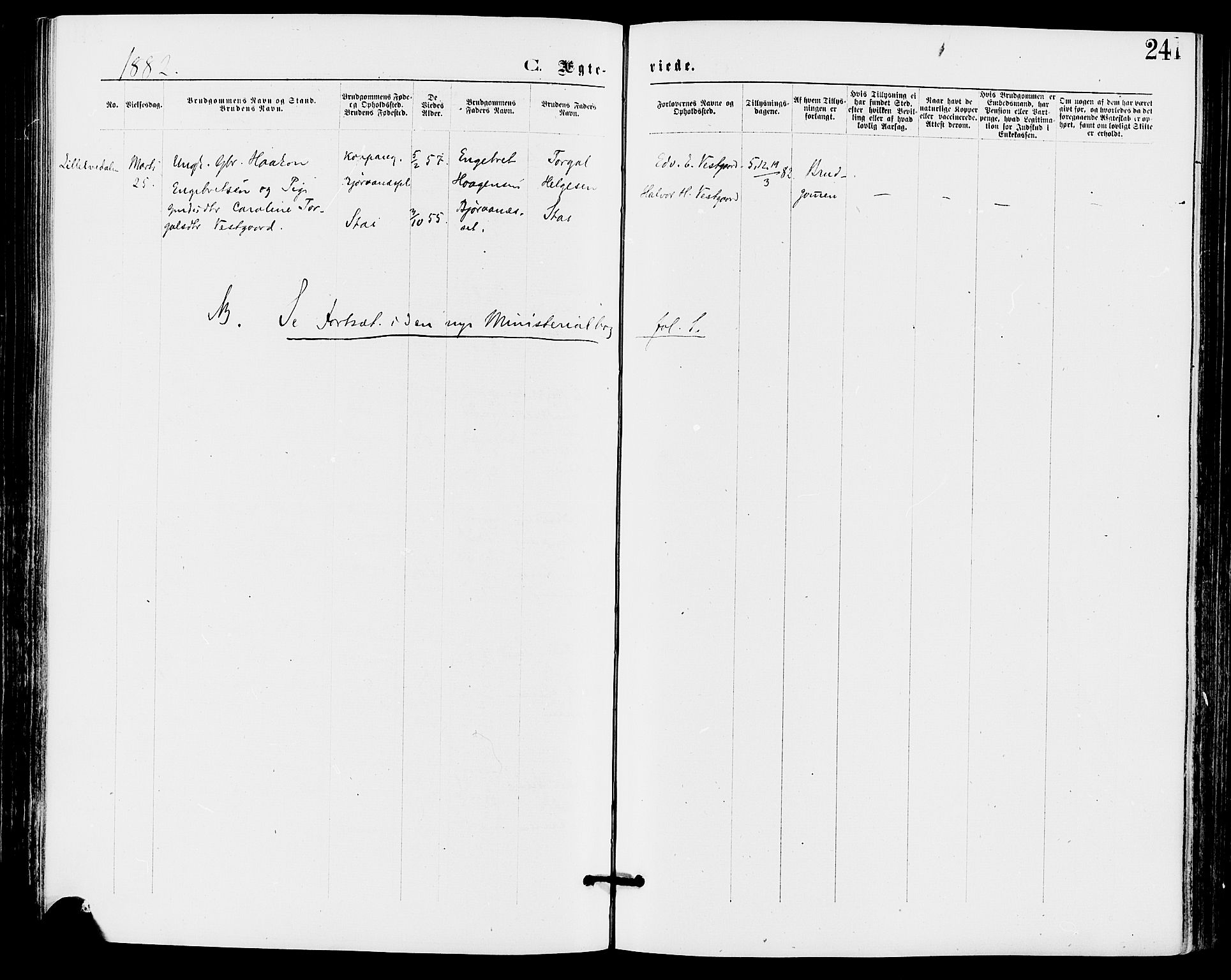 Stor-Elvdal prestekontor, AV/SAH-PREST-052/H/Ha/Haa/L0001: Parish register (official) no. 1, 1871-1882, p. 241