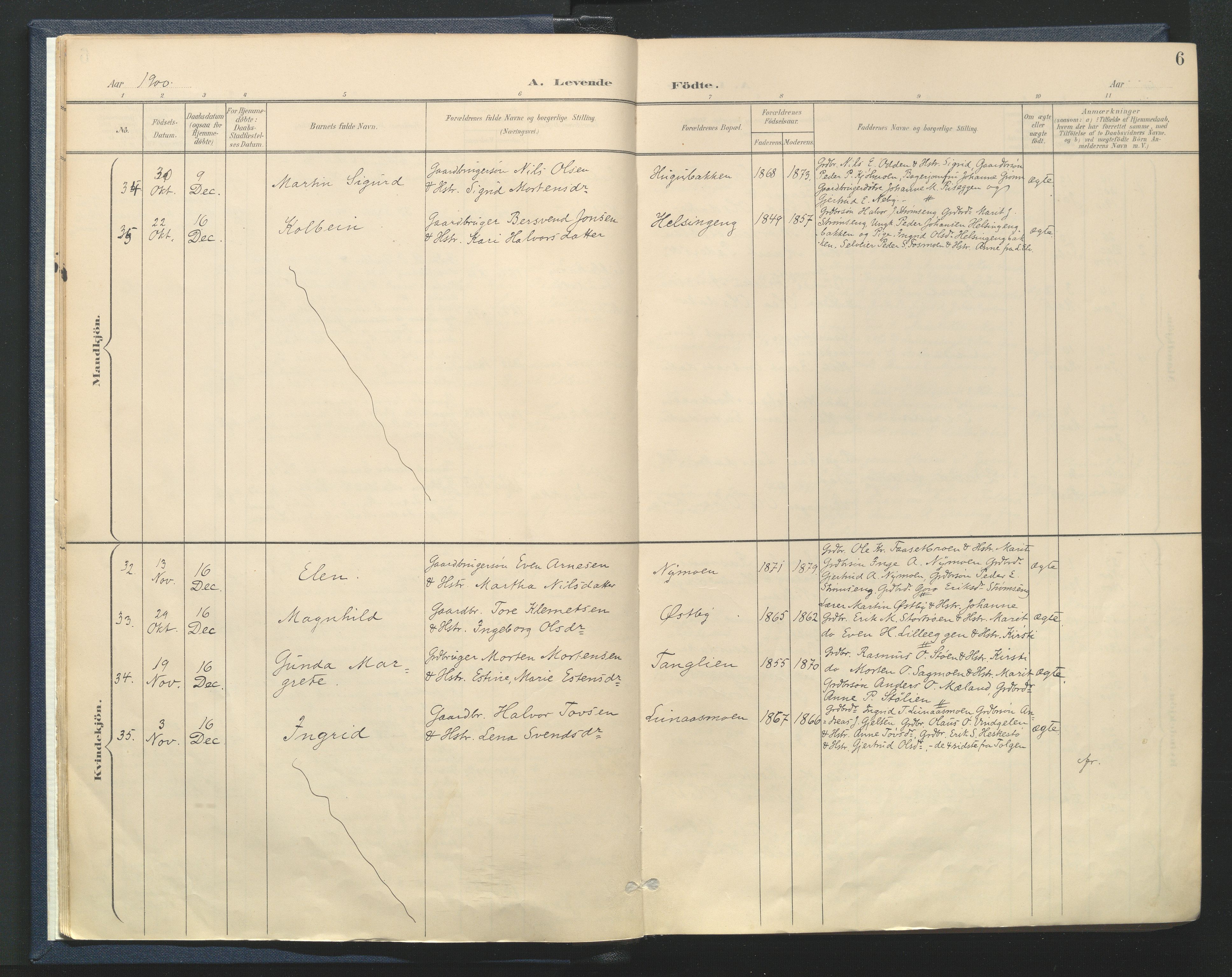 Tynset prestekontor, SAH/PREST-058/H/Ha/Haa/L0025: Parish register (official) no. 25, 1900-1914, p. 6