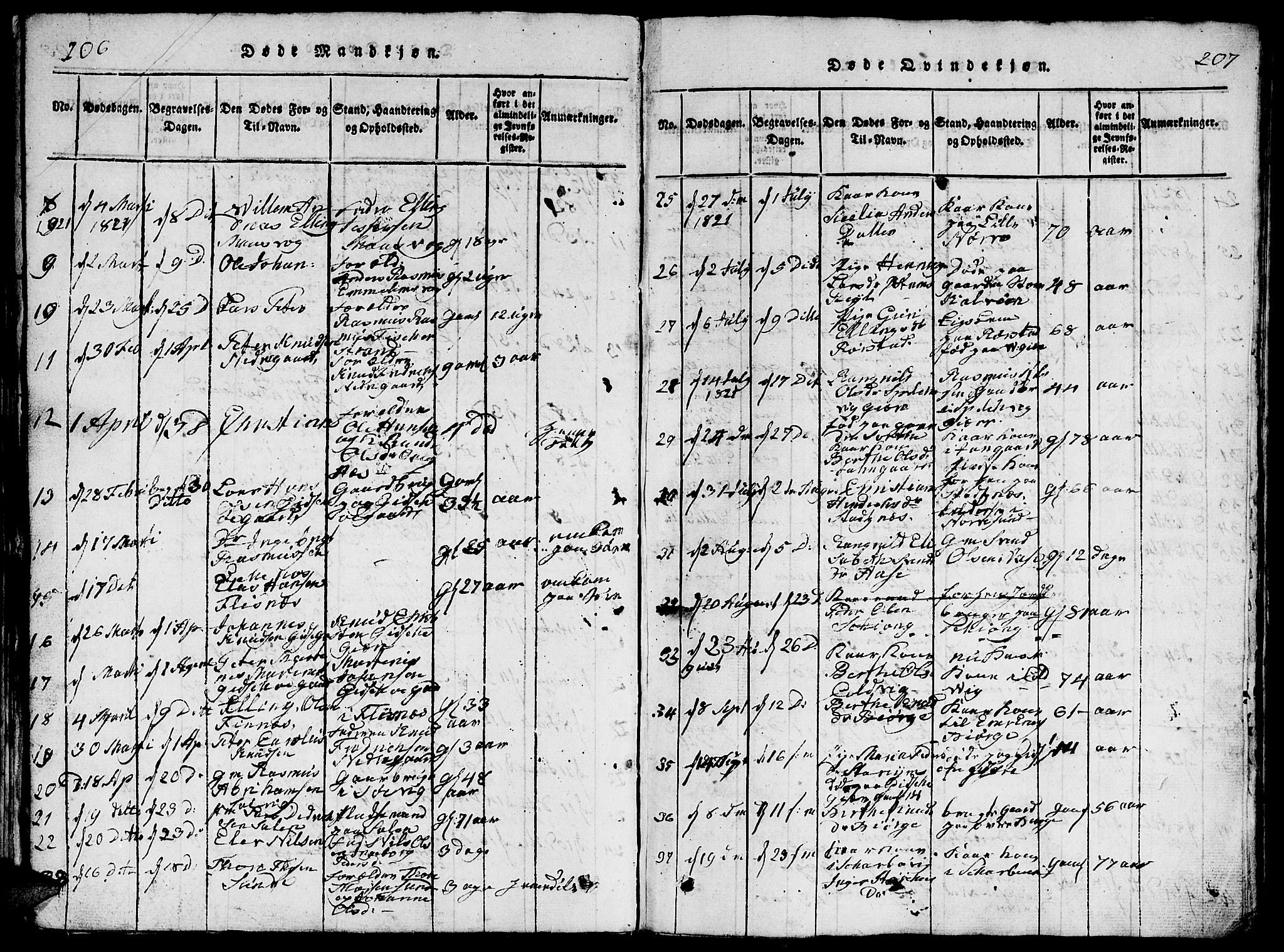 Ministerialprotokoller, klokkerbøker og fødselsregistre - Møre og Romsdal, AV/SAT-A-1454/528/L0423: Parish register (copy) no. 528C04, 1816-1827, p. 206-207