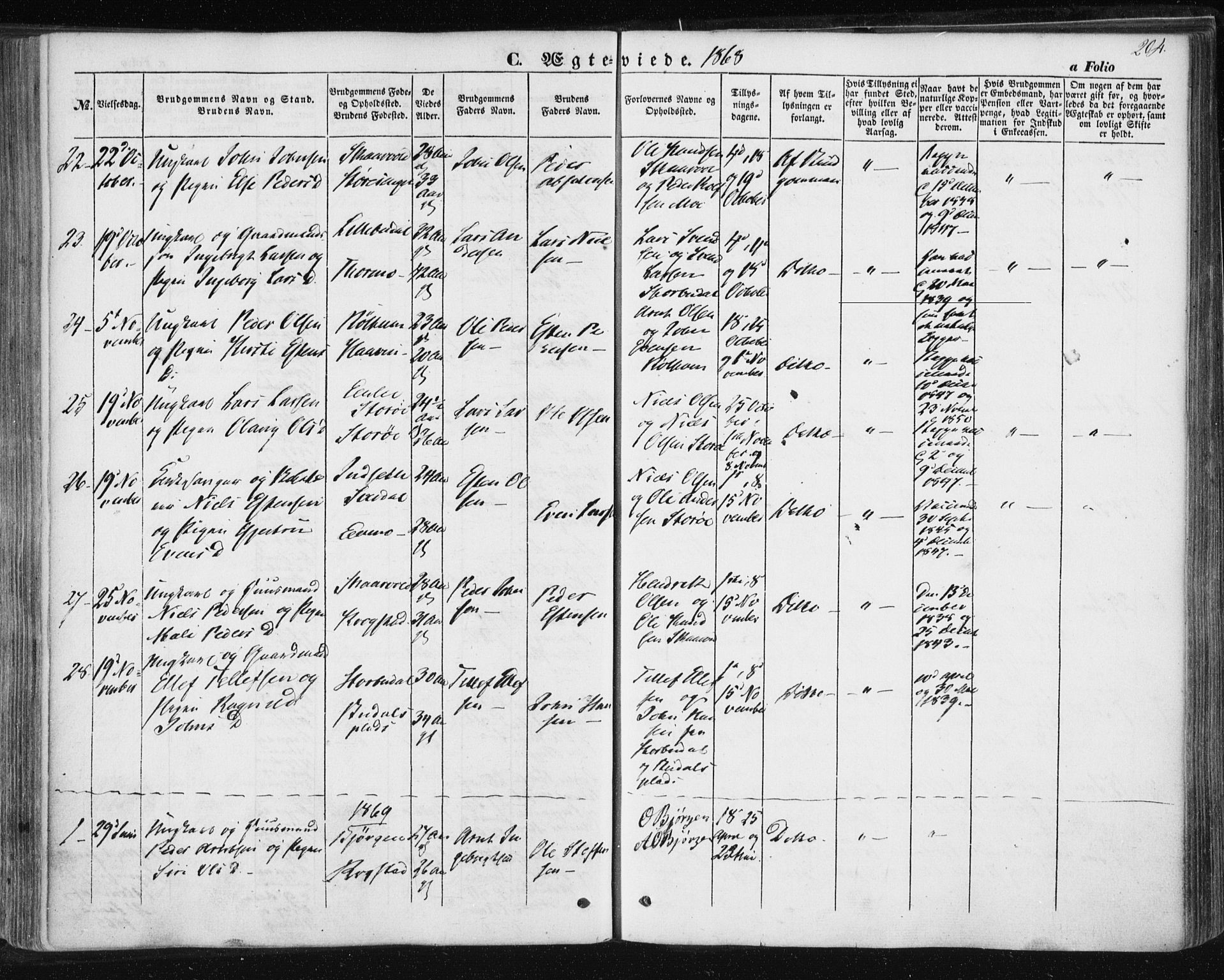 Ministerialprotokoller, klokkerbøker og fødselsregistre - Sør-Trøndelag, SAT/A-1456/687/L1000: Parish register (official) no. 687A06, 1848-1869, p. 204