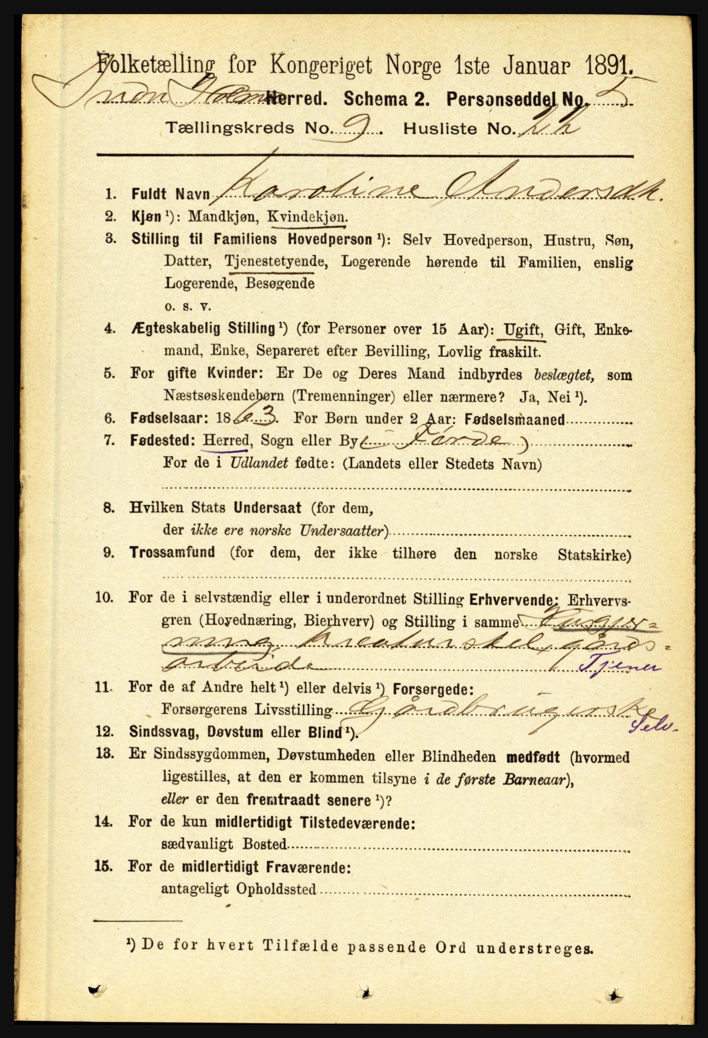 RA, 1891 census for 1430 Indre Holmedal, 1891, p. 4193