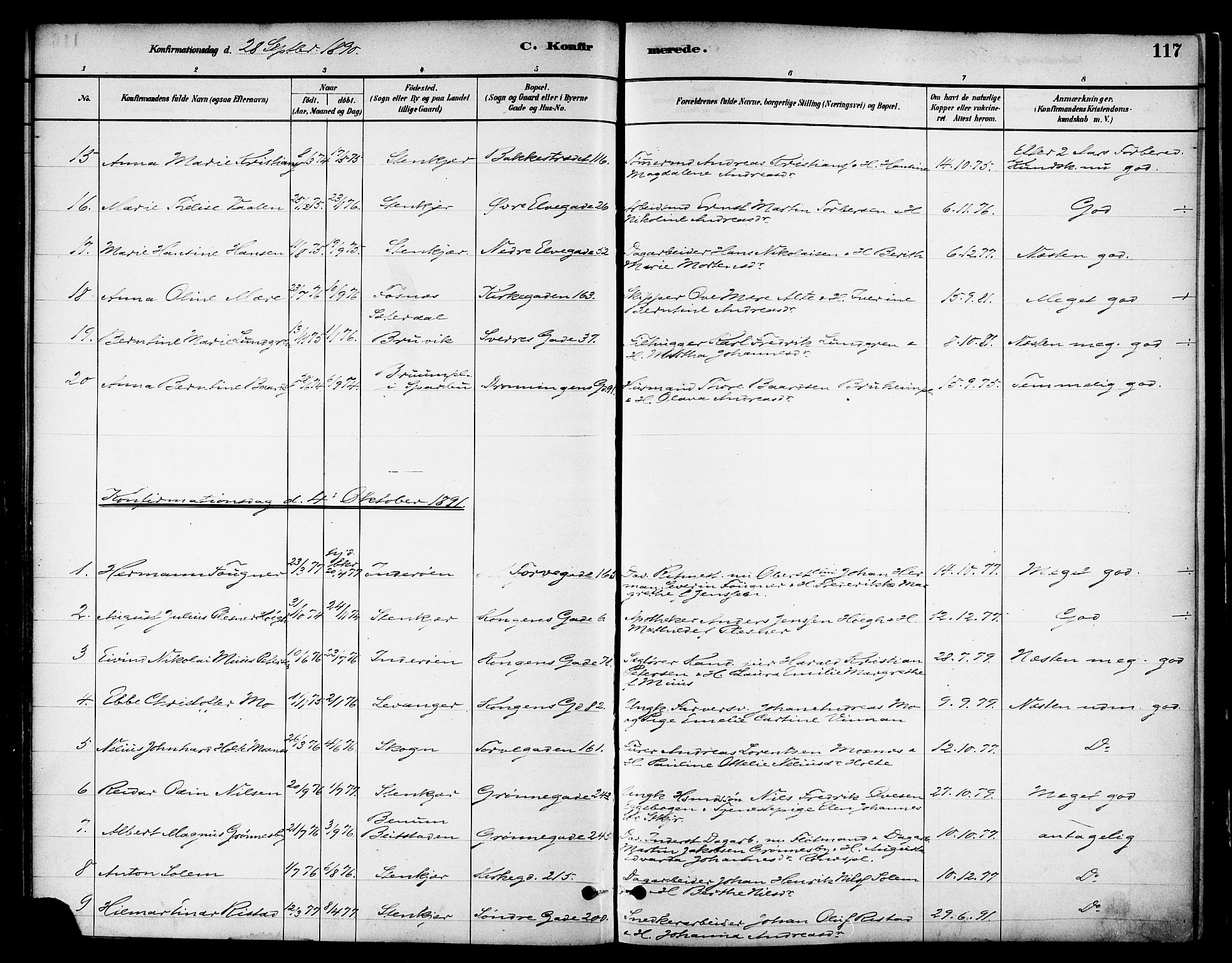 Ministerialprotokoller, klokkerbøker og fødselsregistre - Nord-Trøndelag, SAT/A-1458/739/L0371: Parish register (official) no. 739A03, 1881-1895, p. 117