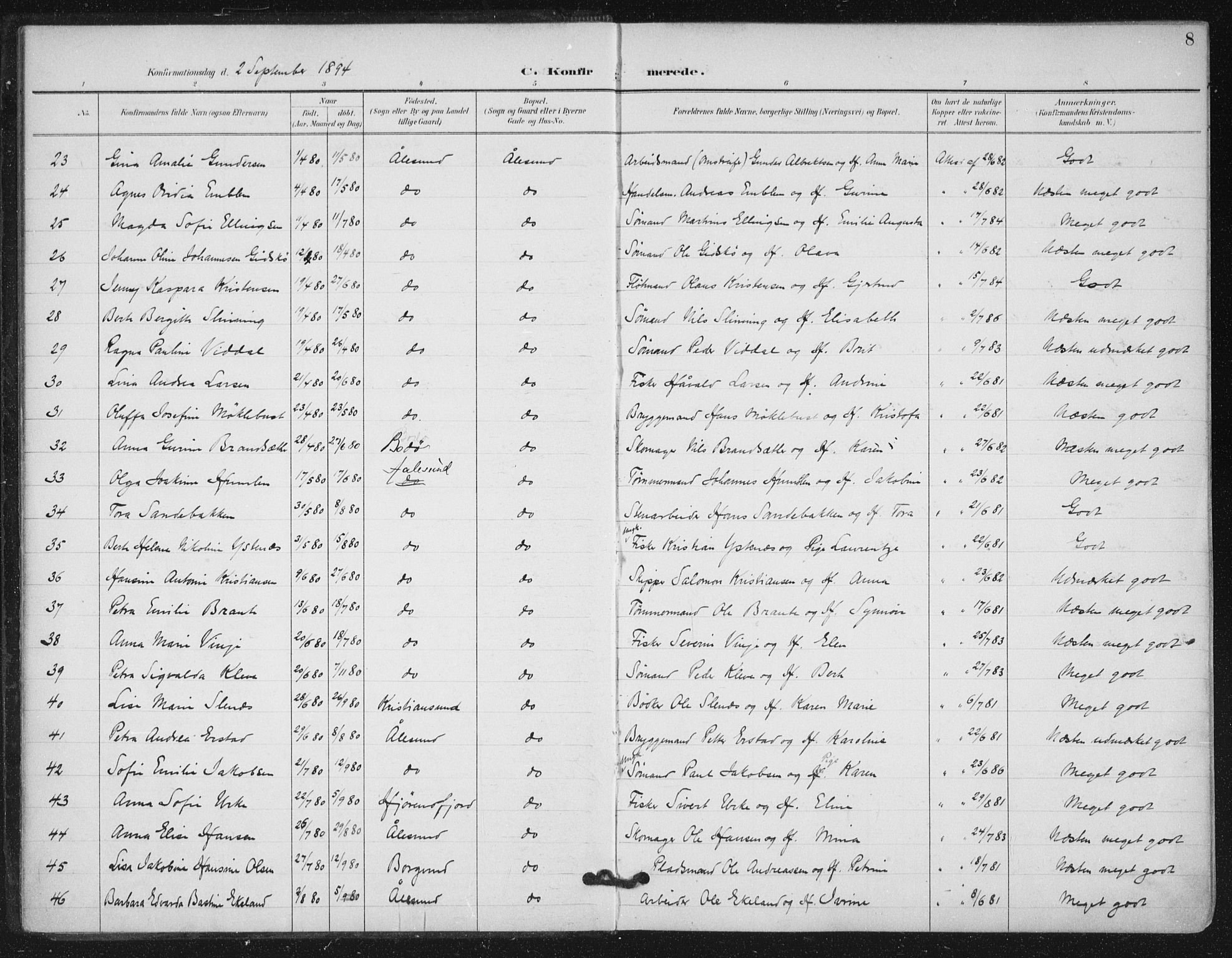Ministerialprotokoller, klokkerbøker og fødselsregistre - Møre og Romsdal, AV/SAT-A-1454/529/L0457: Parish register (official) no. 529A07, 1894-1903, p. 8