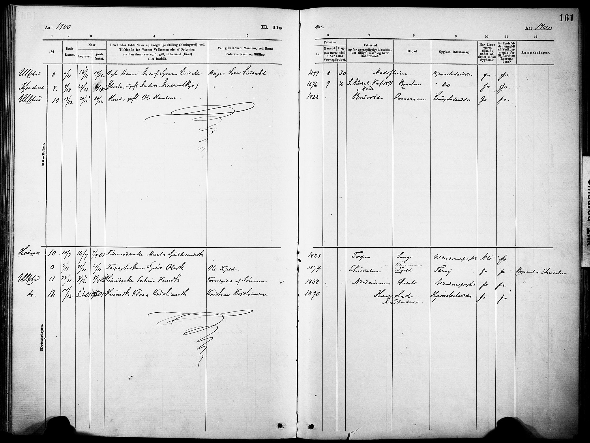 Nordre Land prestekontor, AV/SAH-PREST-124/H/Ha/Haa/L0005: Parish register (official) no. 5, 1882-1903, p. 161