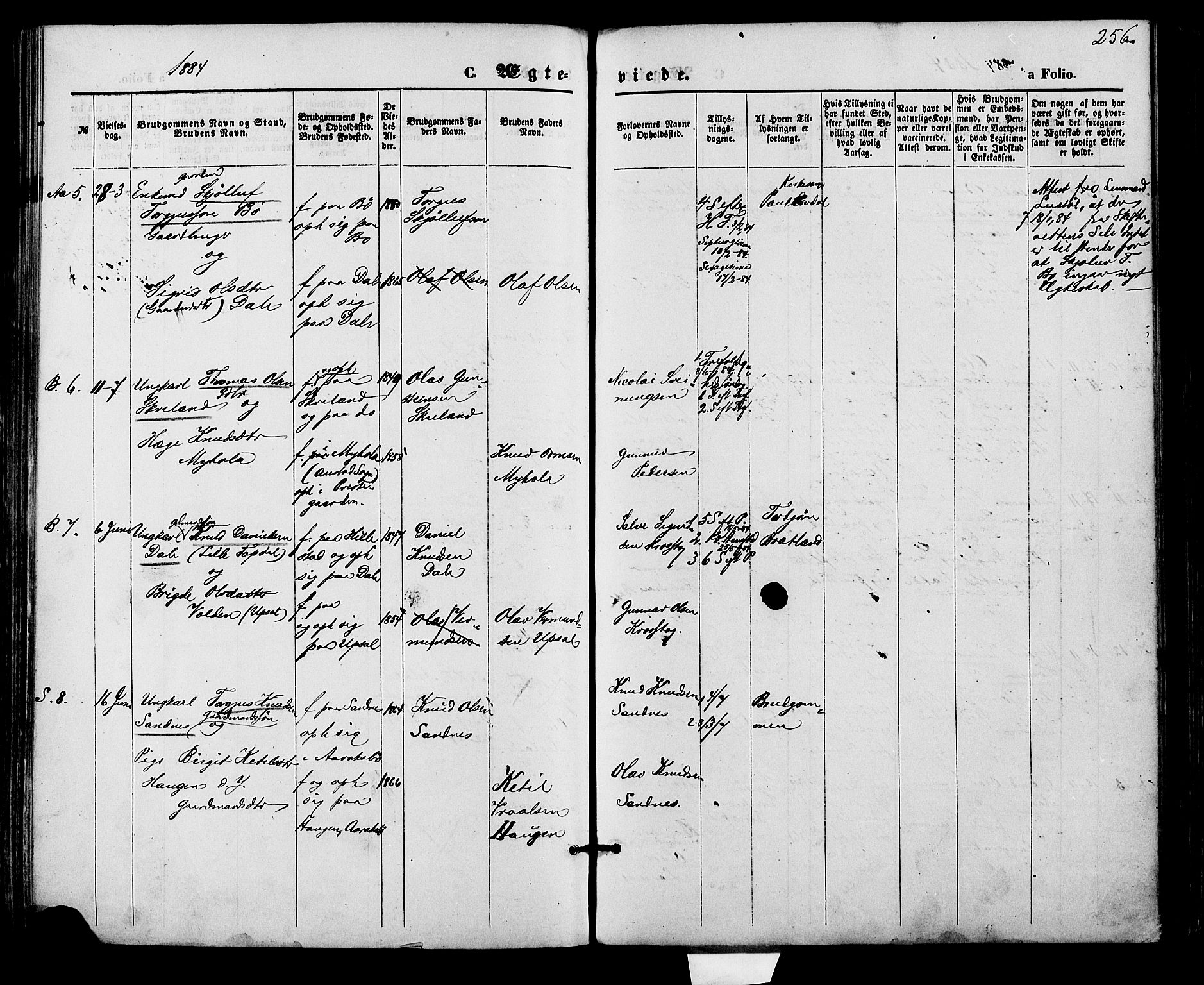 Bygland sokneprestkontor, AV/SAK-1111-0006/F/Fa/Fab/L0006: Parish register (official) no. A 6, 1873-1884, p. 256