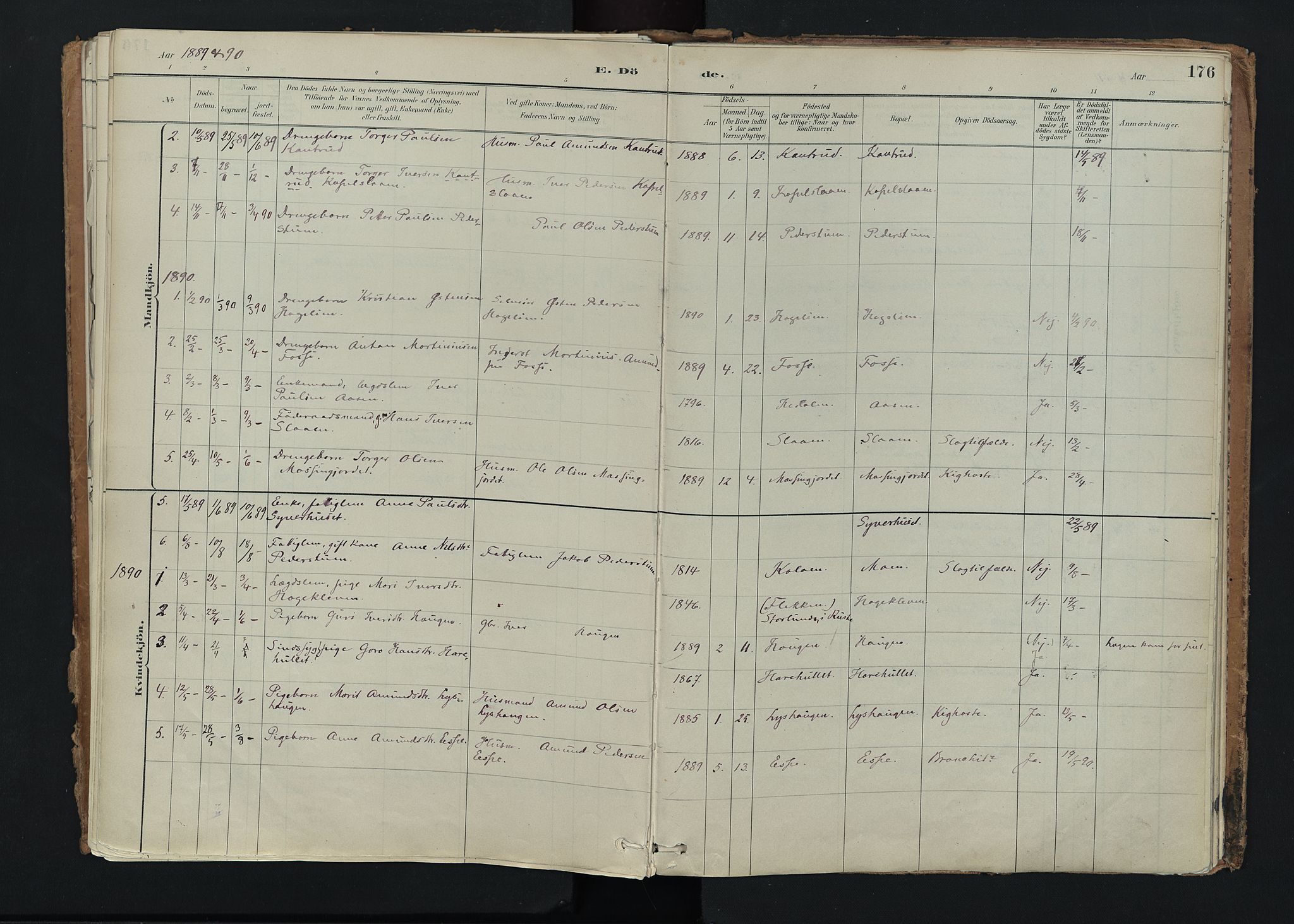 Nord-Fron prestekontor, SAH/PREST-080/H/Ha/Haa/L0005: Parish register (official) no. 5, 1884-1914, p. 176