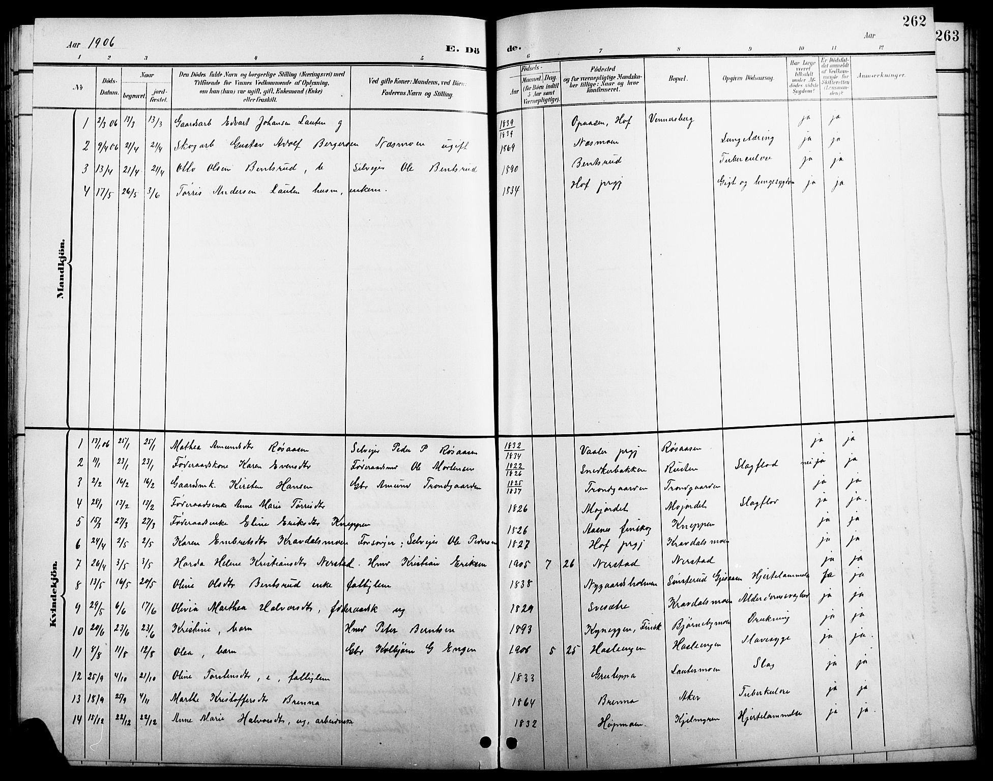 Åsnes prestekontor, AV/SAH-PREST-042/H/Ha/Hab/L0004: Parish register (copy) no. 4, 1895-1909, p. 262