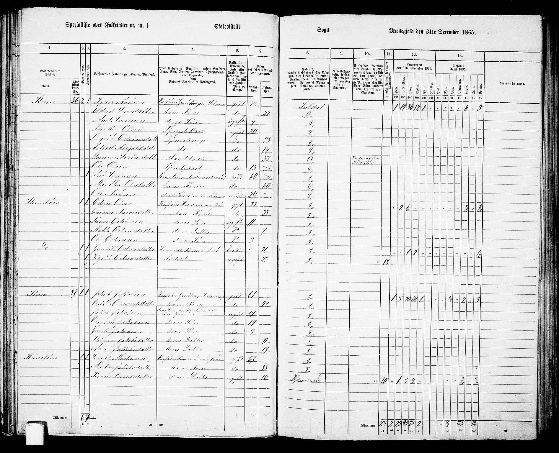 RA, 1865 census for Suldal, 1865, p. 45