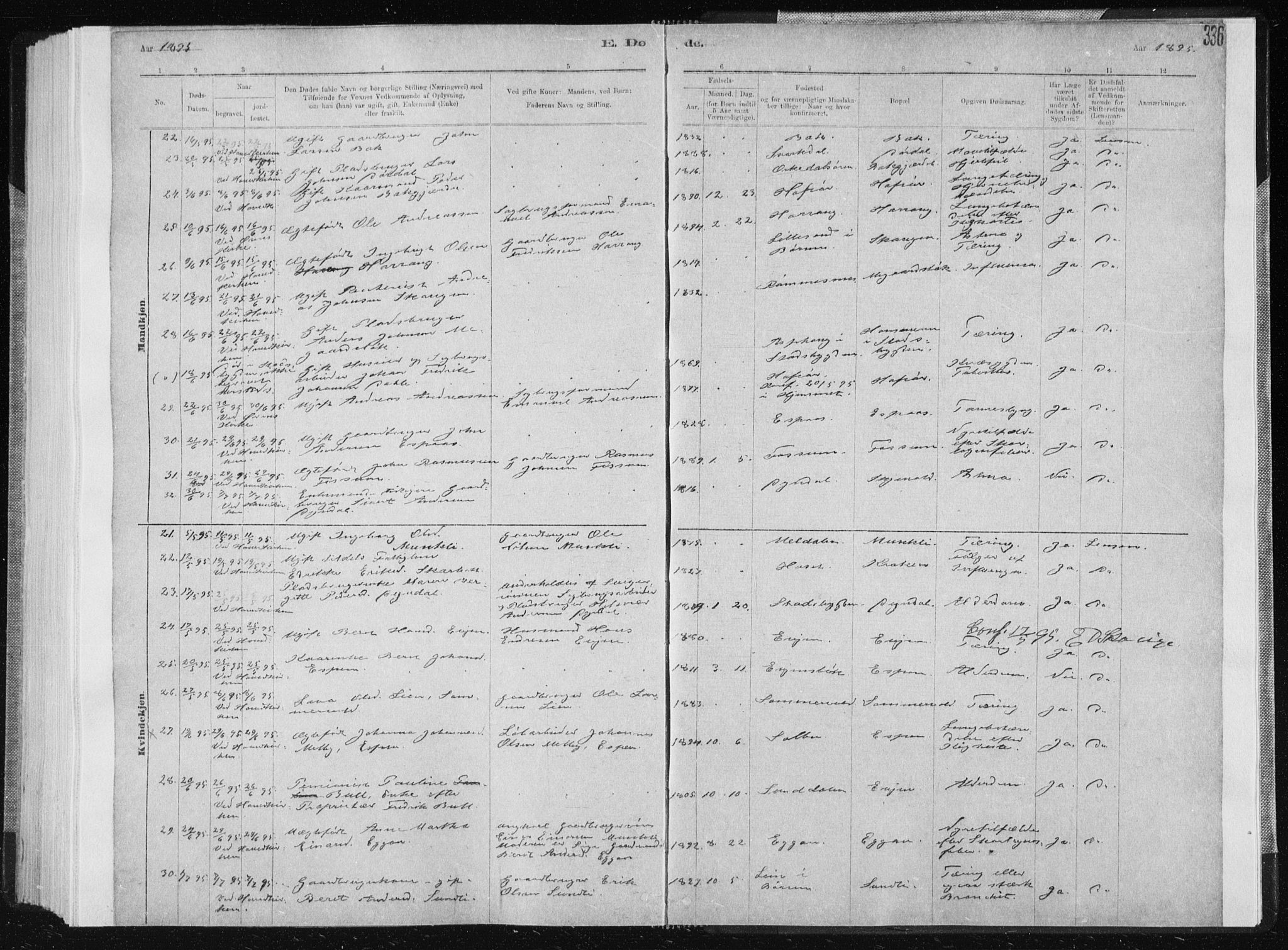 Ministerialprotokoller, klokkerbøker og fødselsregistre - Sør-Trøndelag, AV/SAT-A-1456/668/L0818: Parish register (copy) no. 668C07, 1885-1898, p. 336