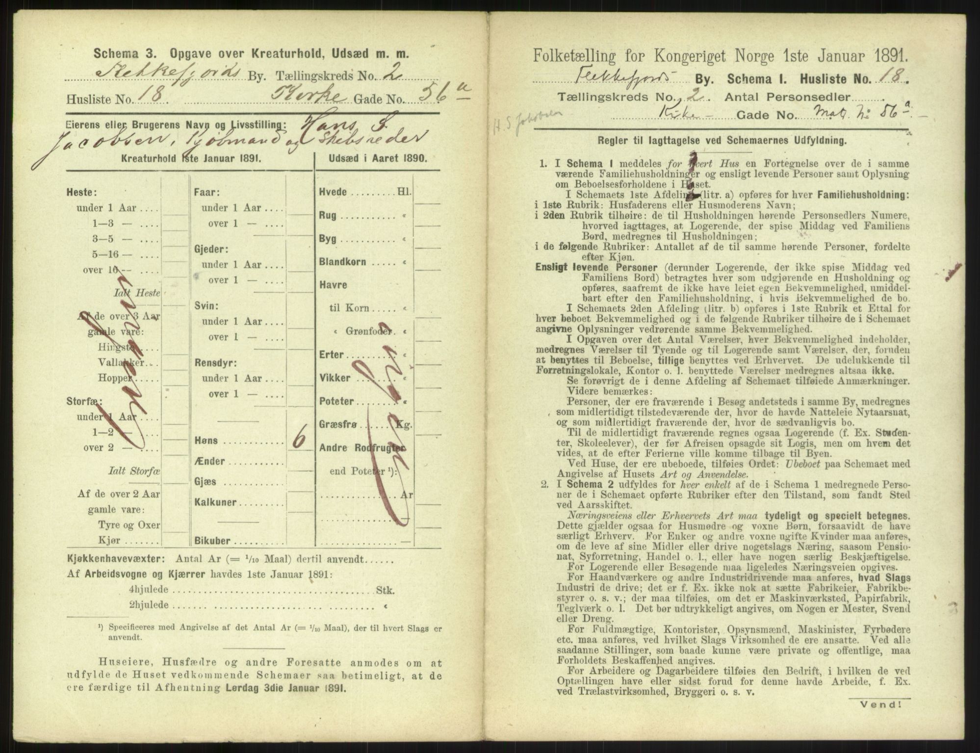 RA, 1891 census for 1004 Flekkefjord, 1891, p. 132